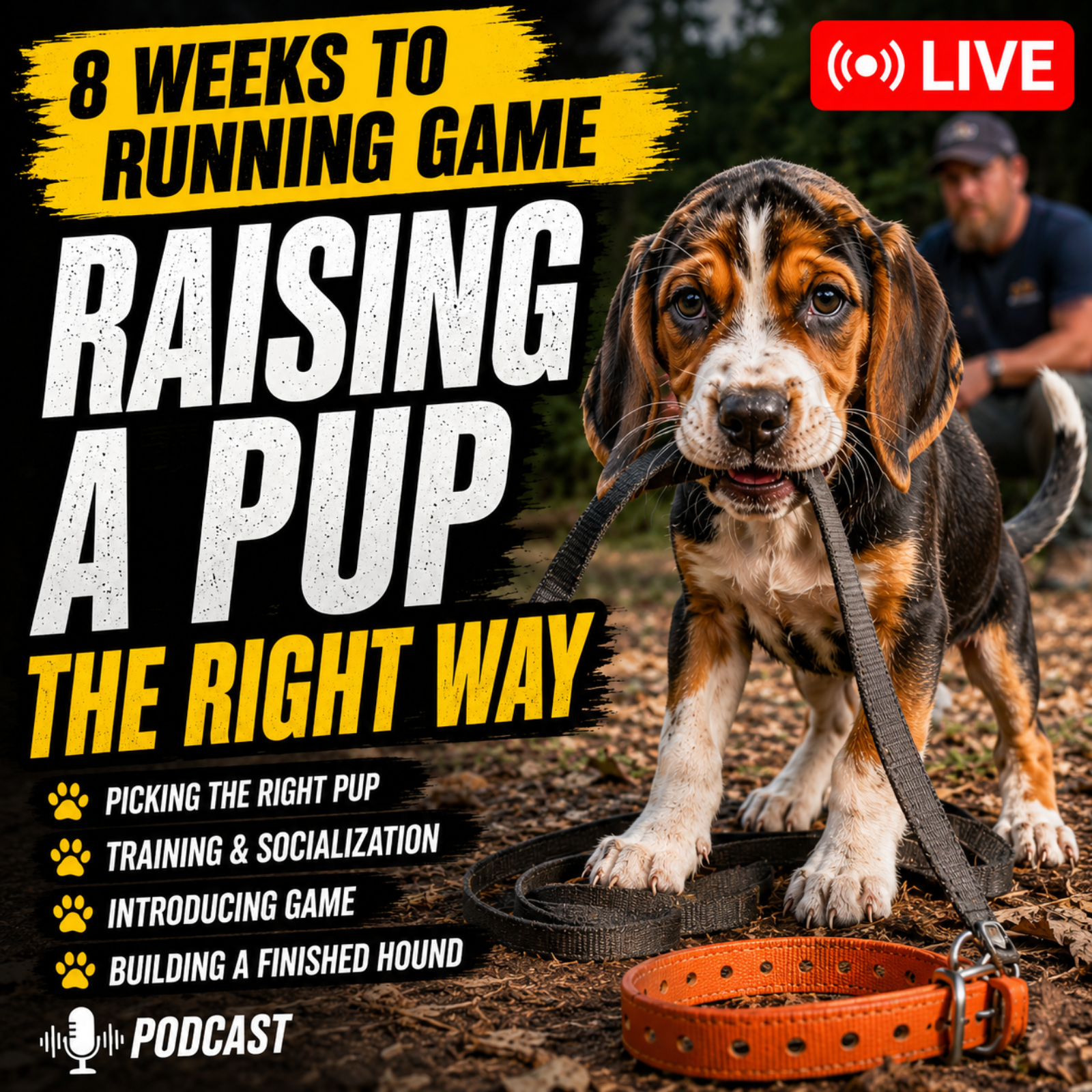 Making a hound: From the pup up! episode artwork