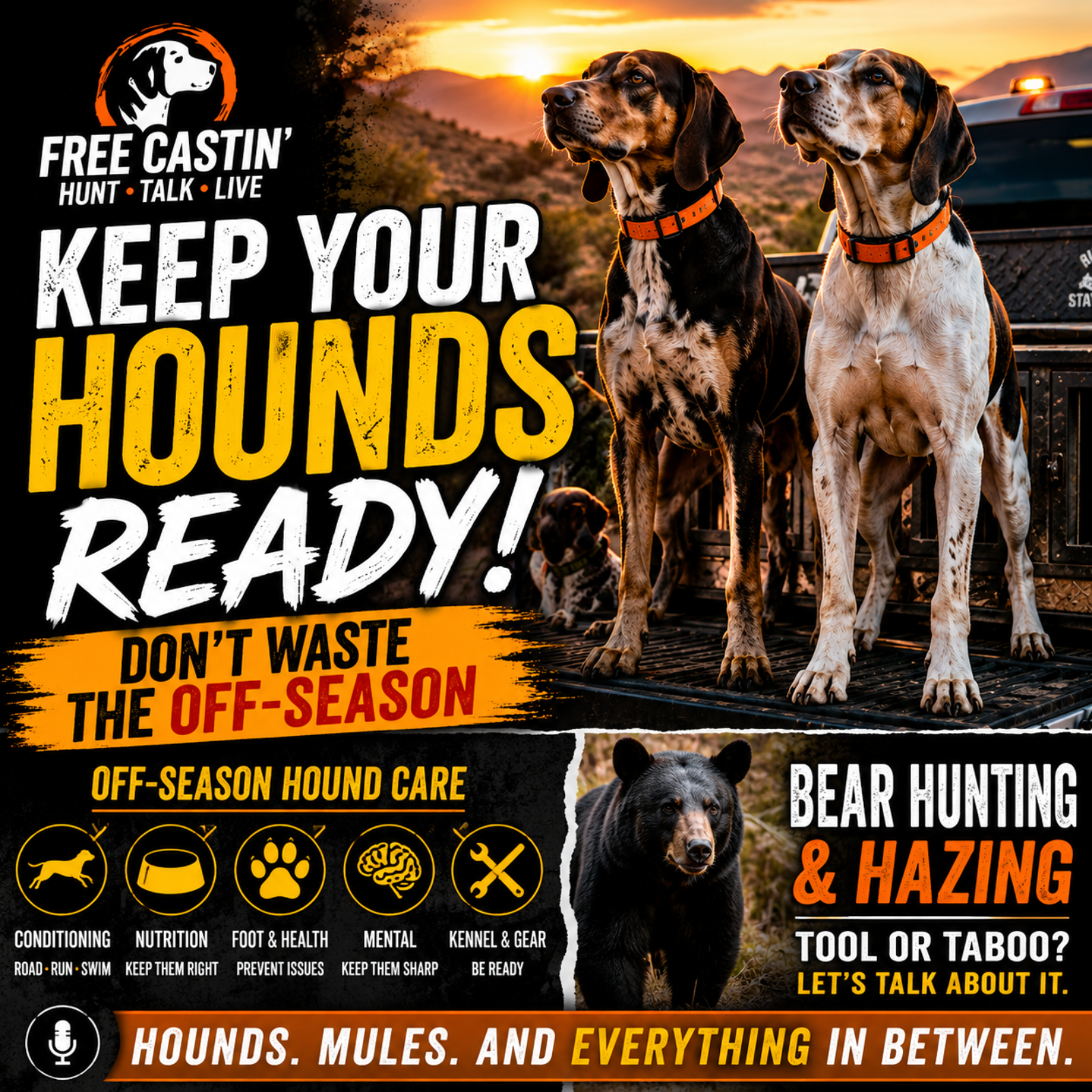Keep you and your hounds READY! episode artwork