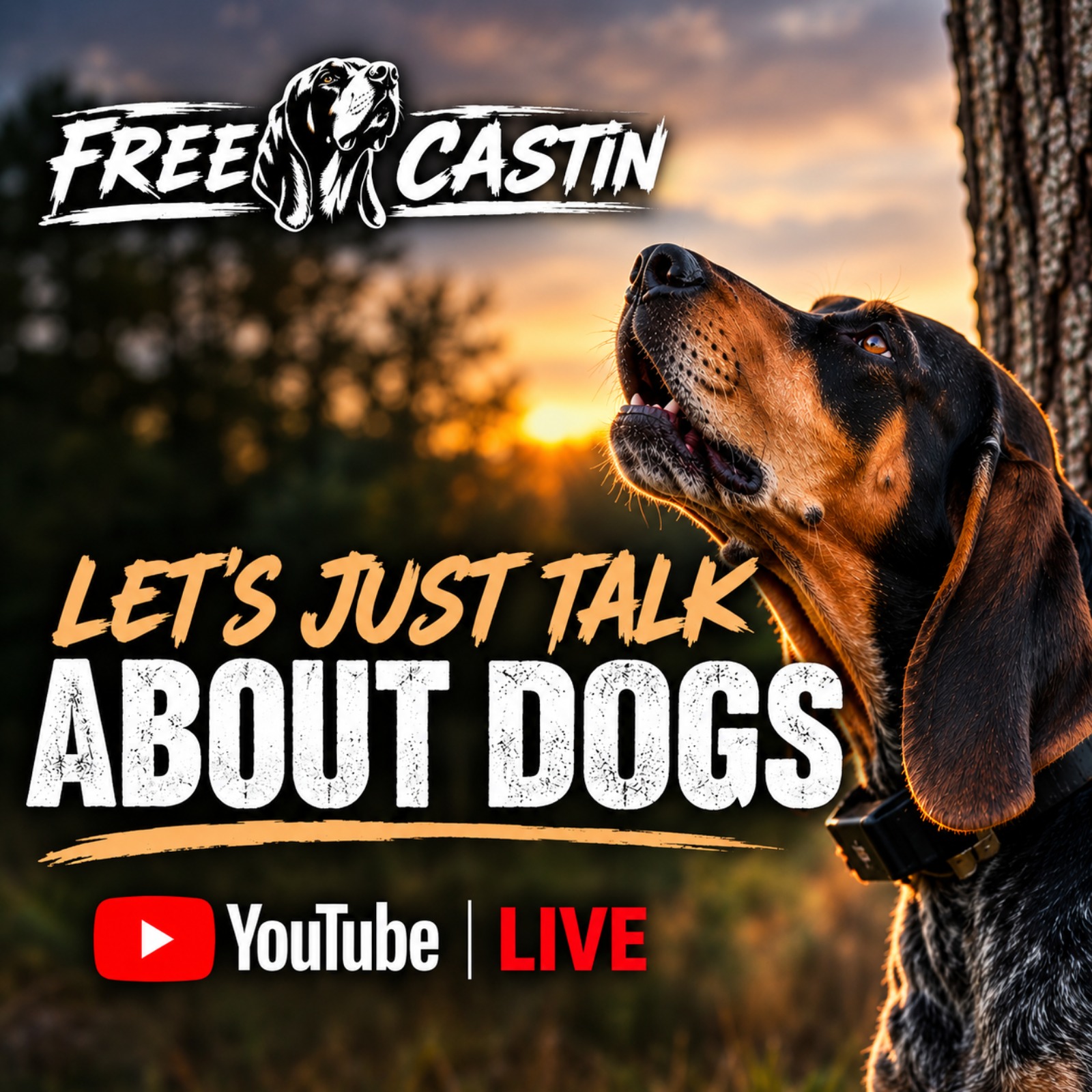 Let's just talk dogs....always a rabbit hole! episode artwork