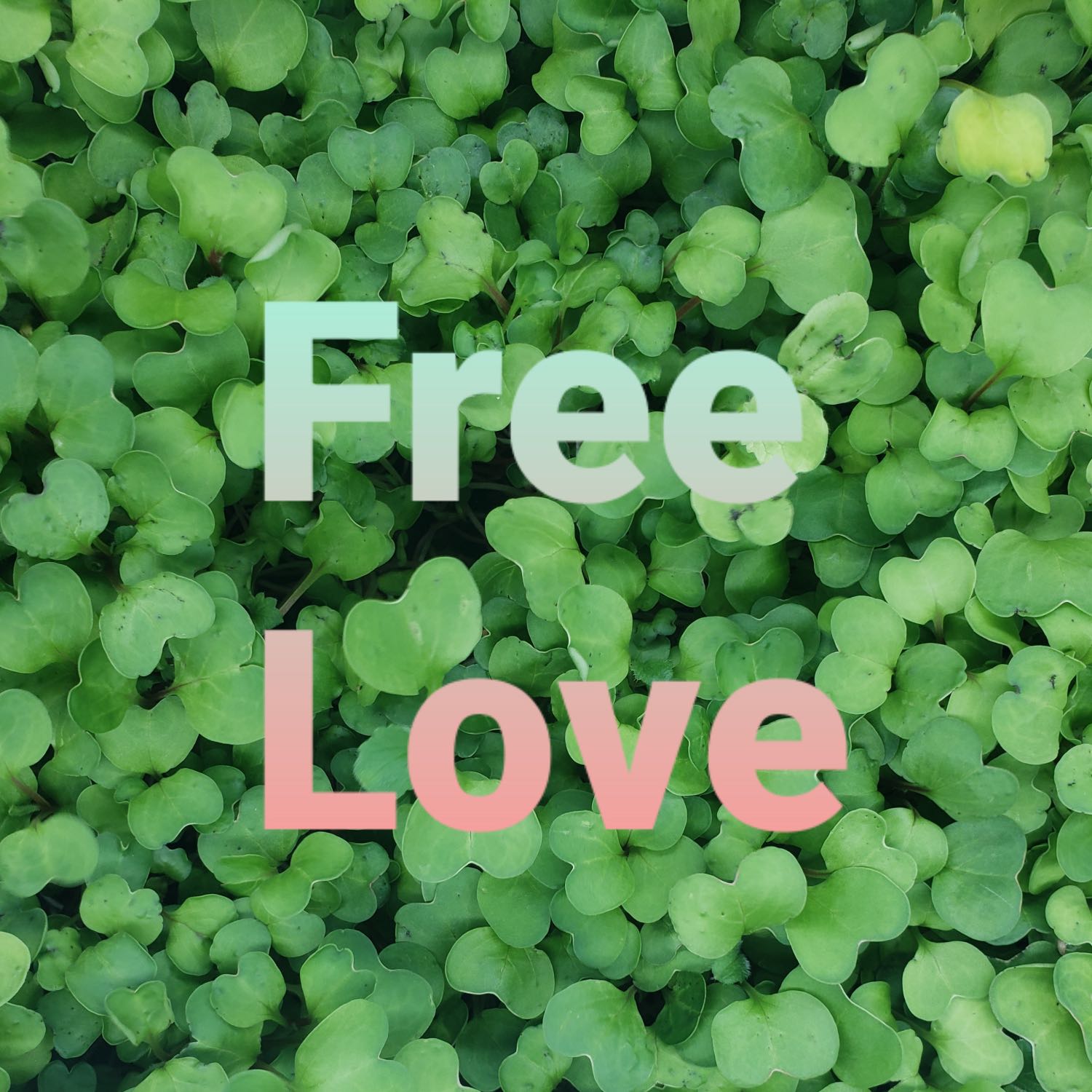 Free Love