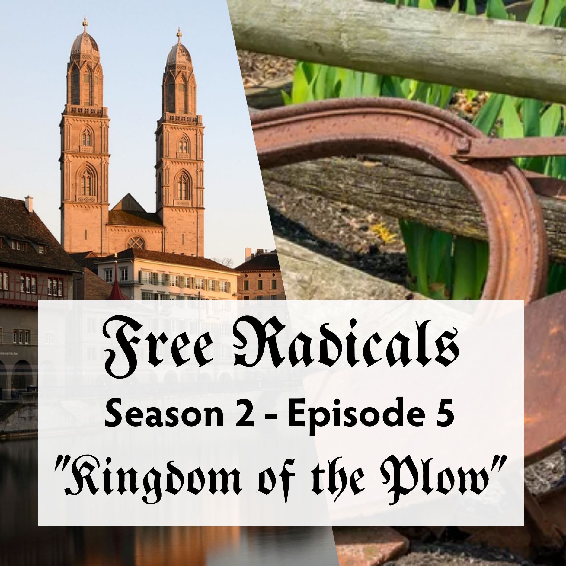 Free Radicals