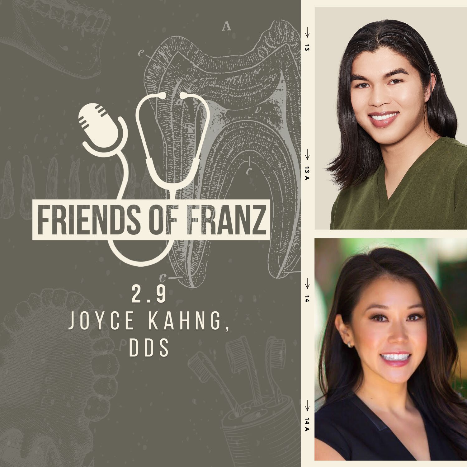 Friends of Franz
