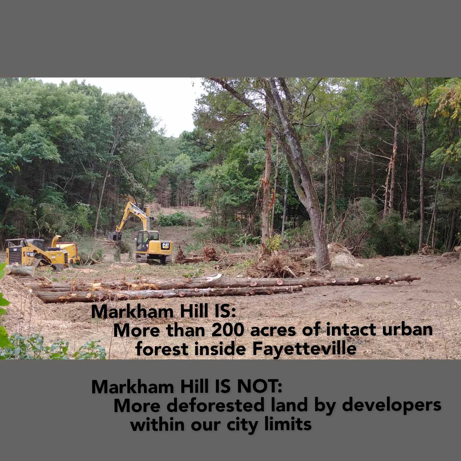 Friends of Markham Hill Podcast