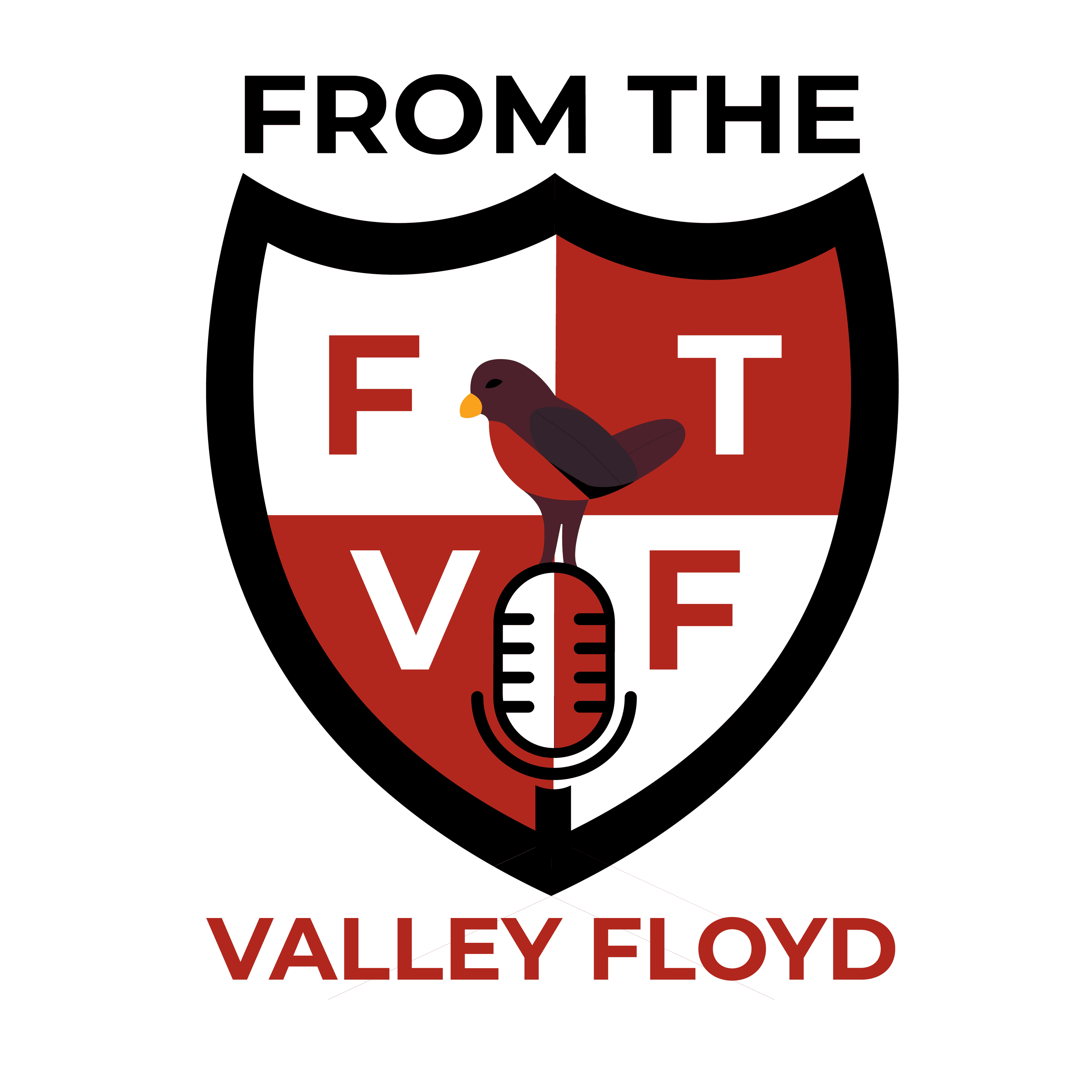 From the Valley Floyd - A Charlton Athletic Podcast 