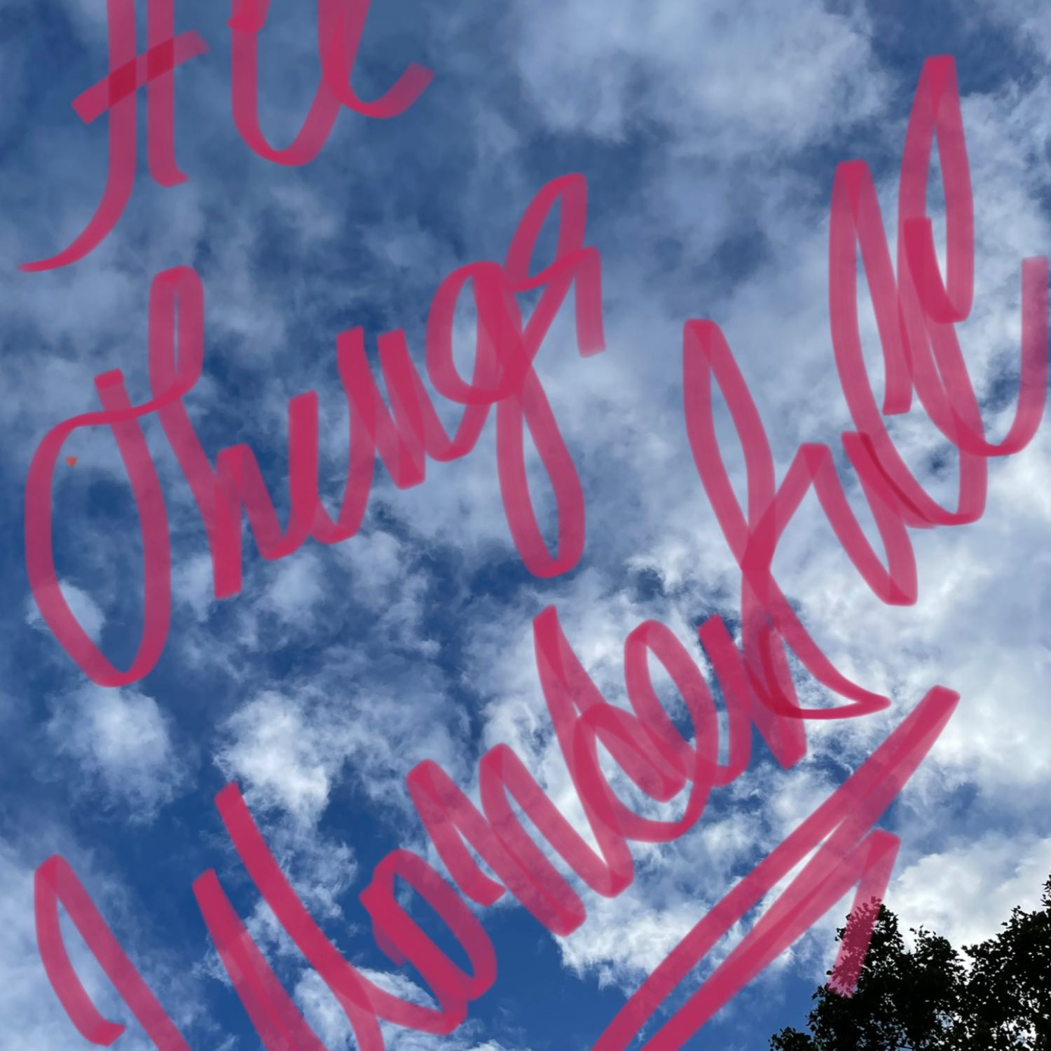 All Things Wonderful