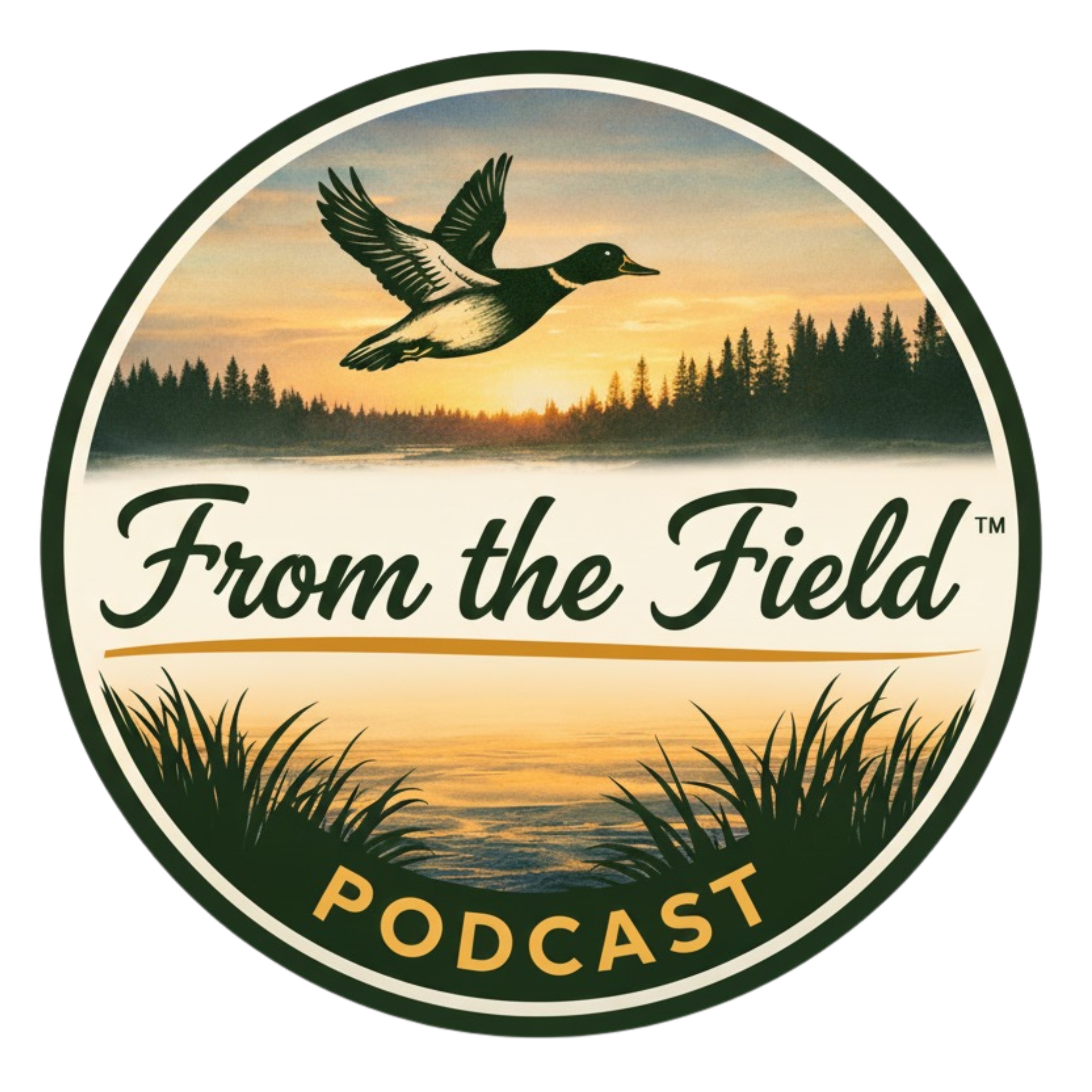 From the Field™ cover art