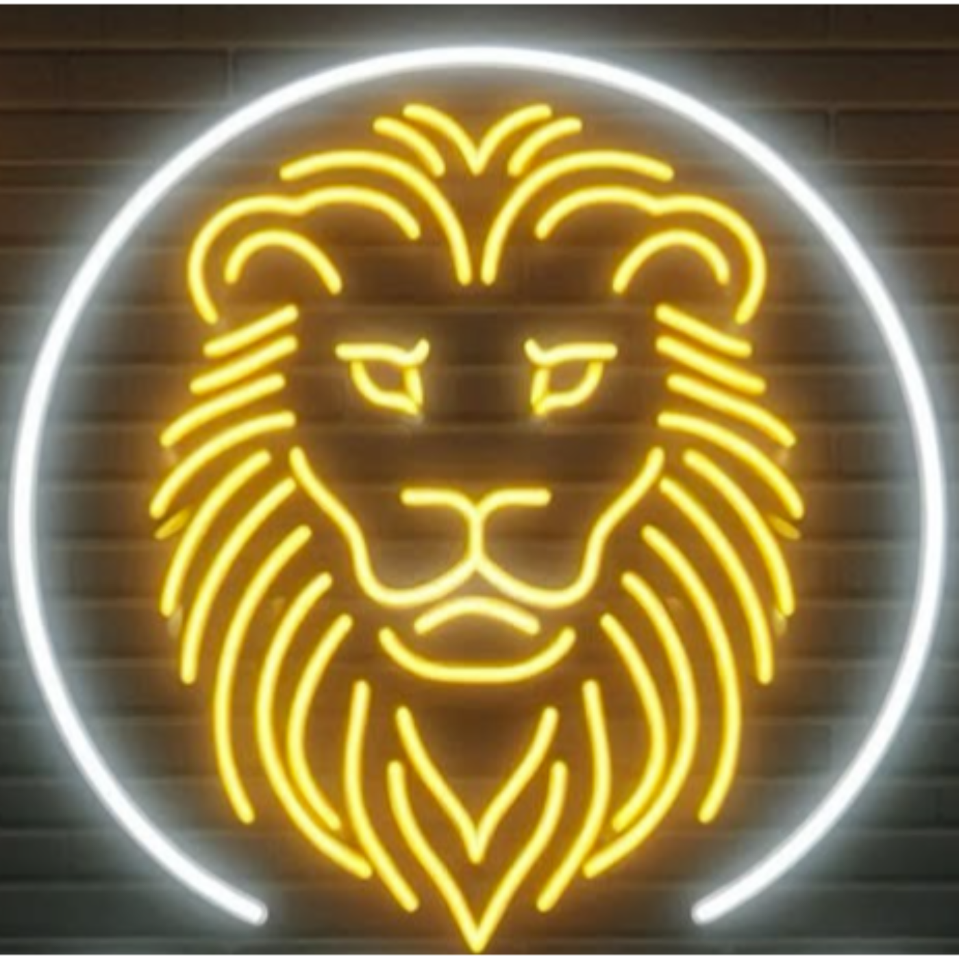 Why I Started This Podcast | The Story Behind FTLC