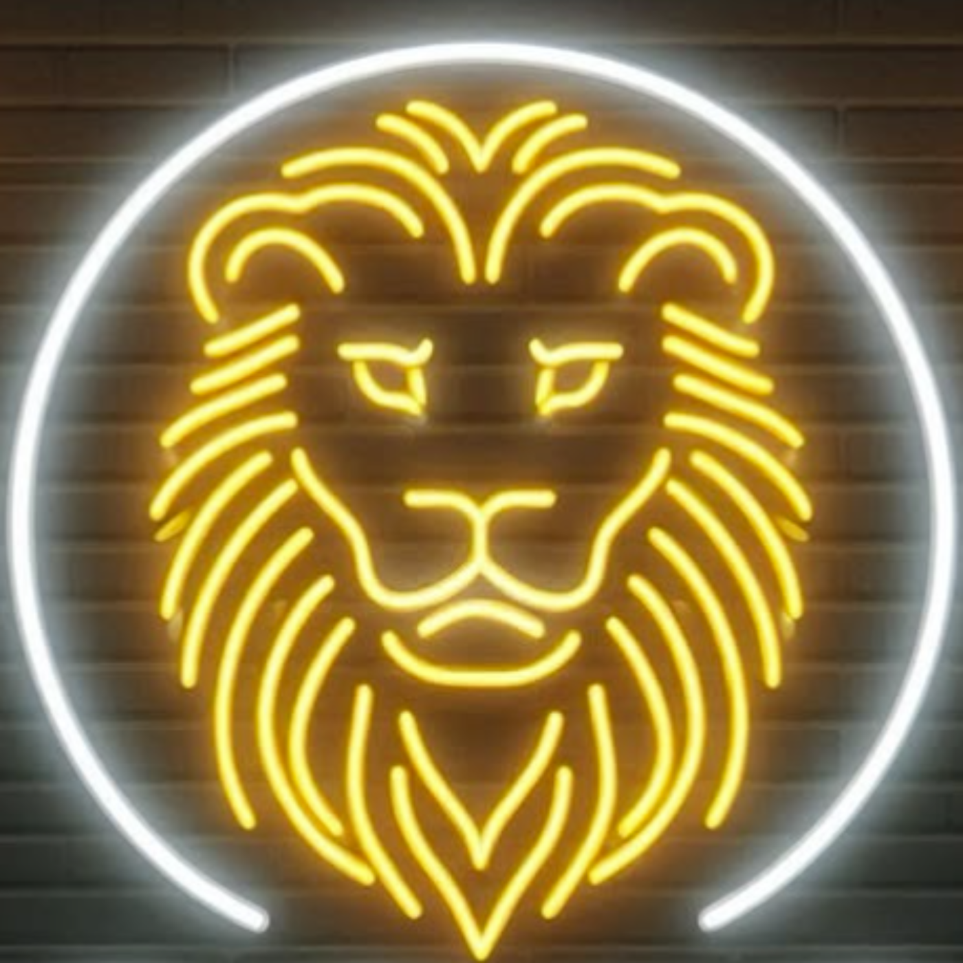 John Carroll Football | The Jake Phillips Interview