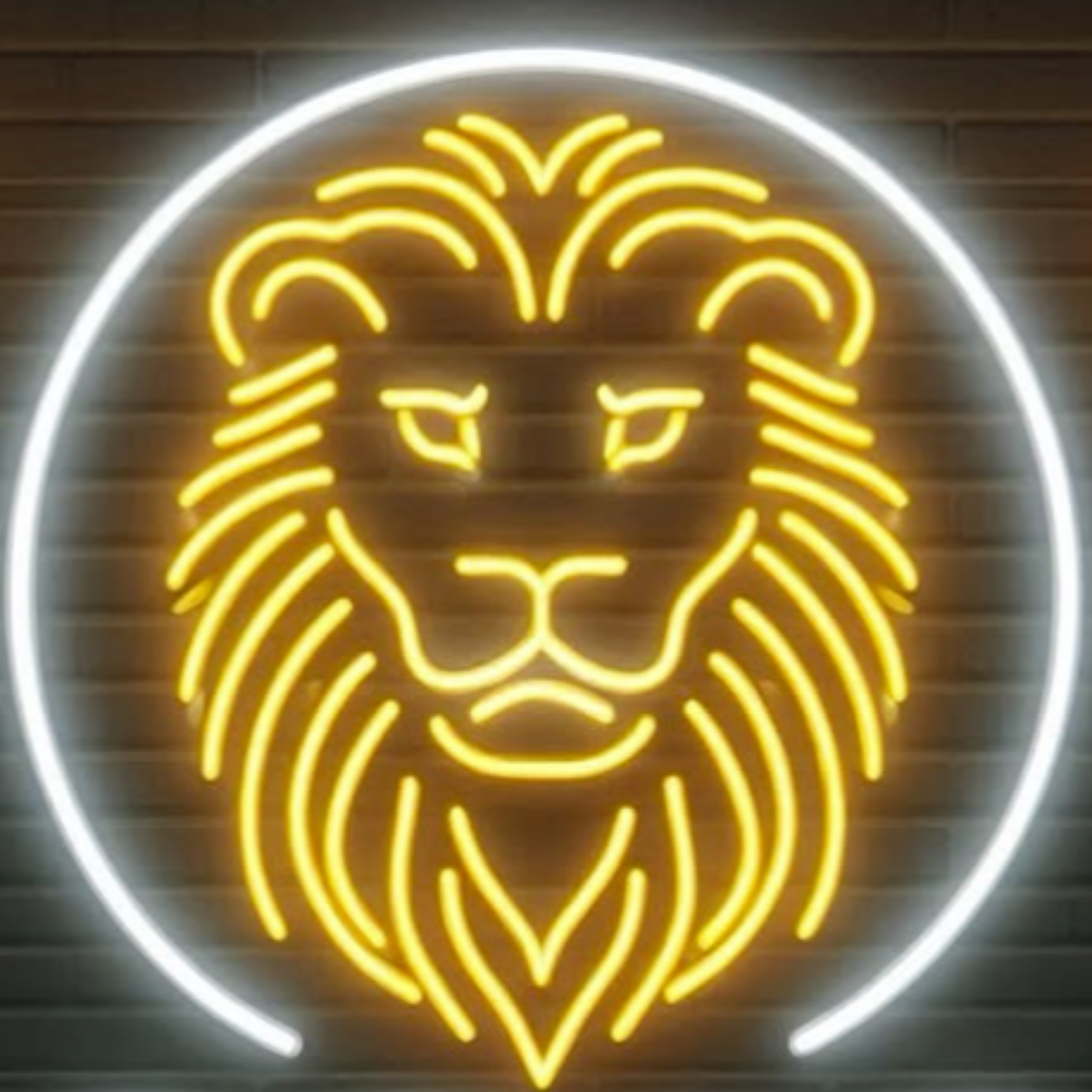 John Carroll Basketball | The Luke Chicone Interview