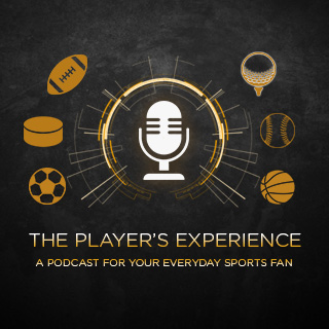 The Player\'s Experience
