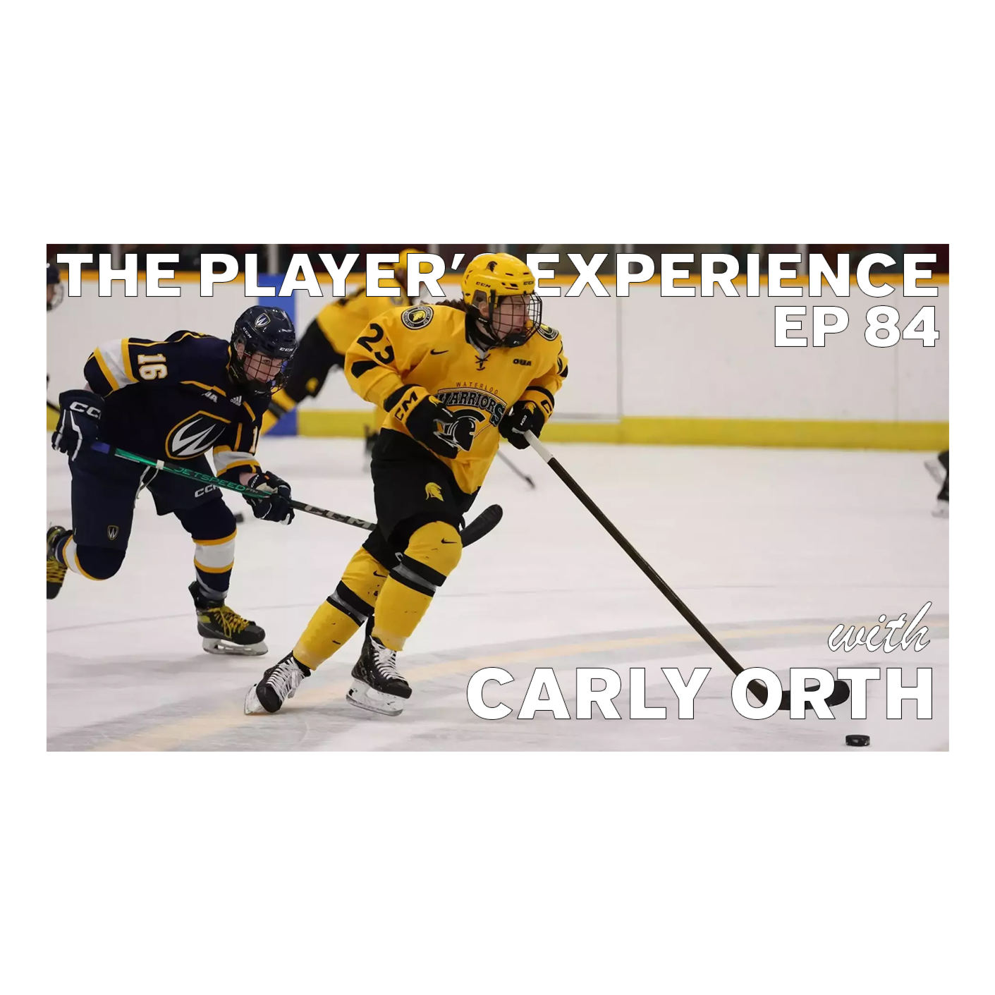 The Player\'s Experience