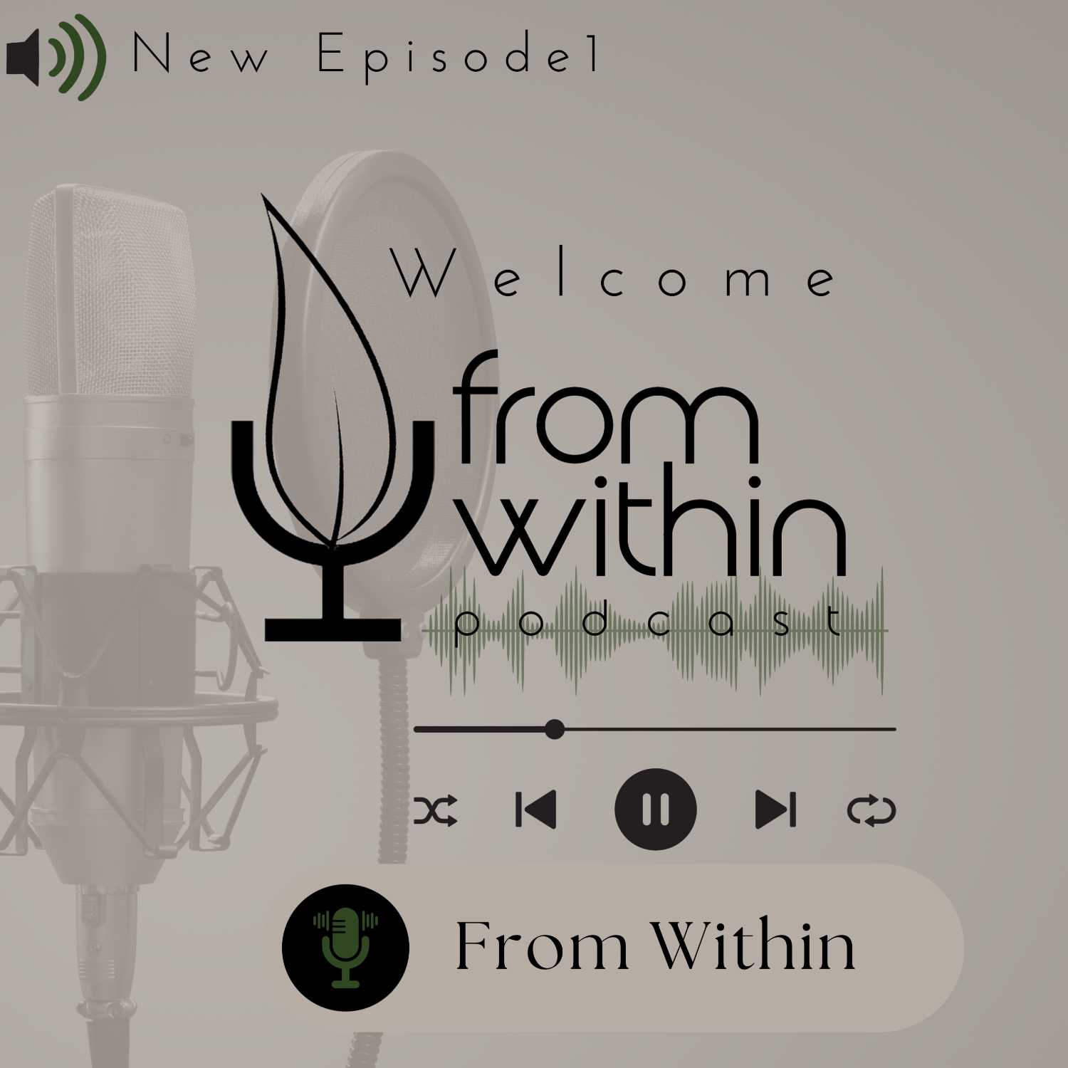 From Within By: The Soul of Me episode artwork