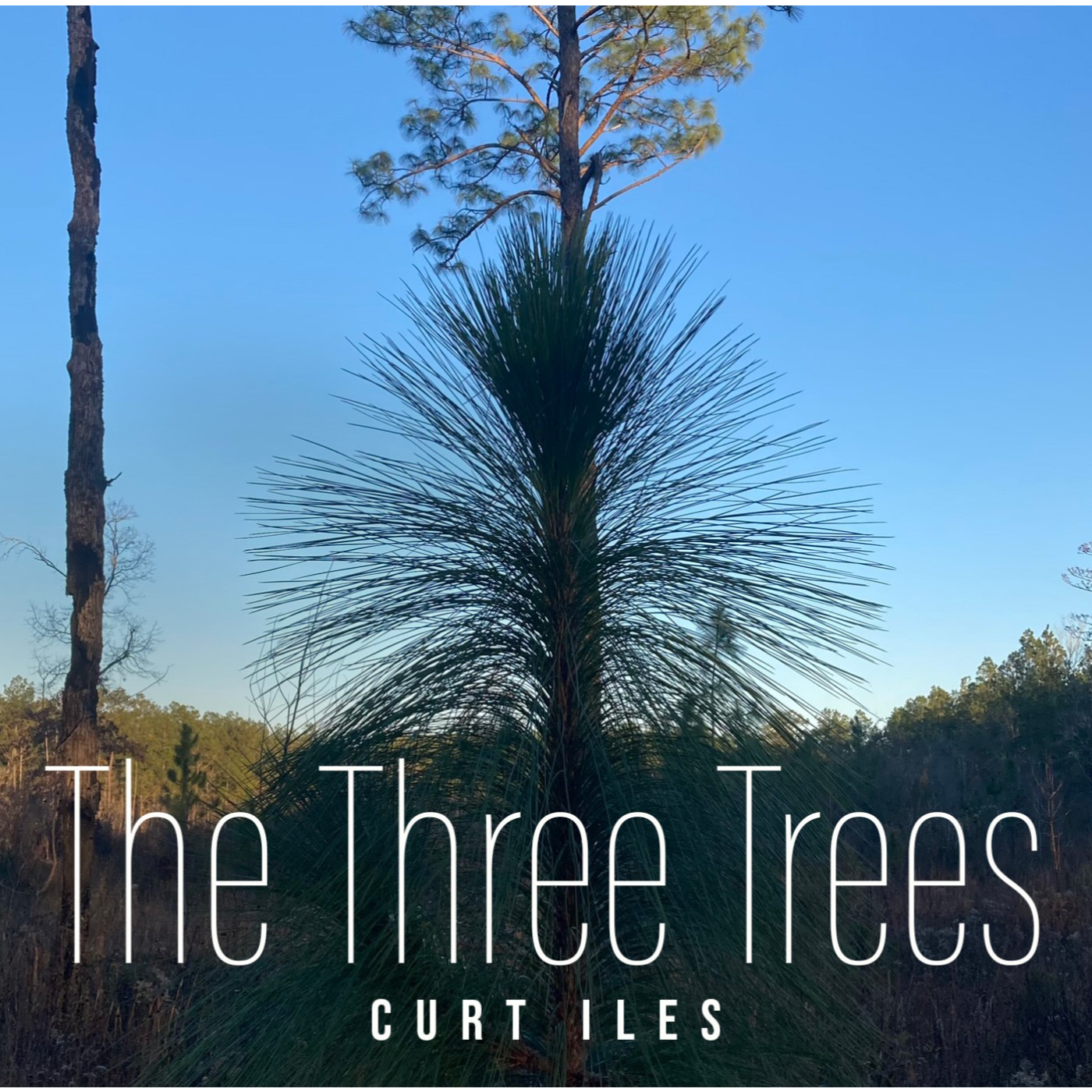 Podcast: 'The Three Trees.'