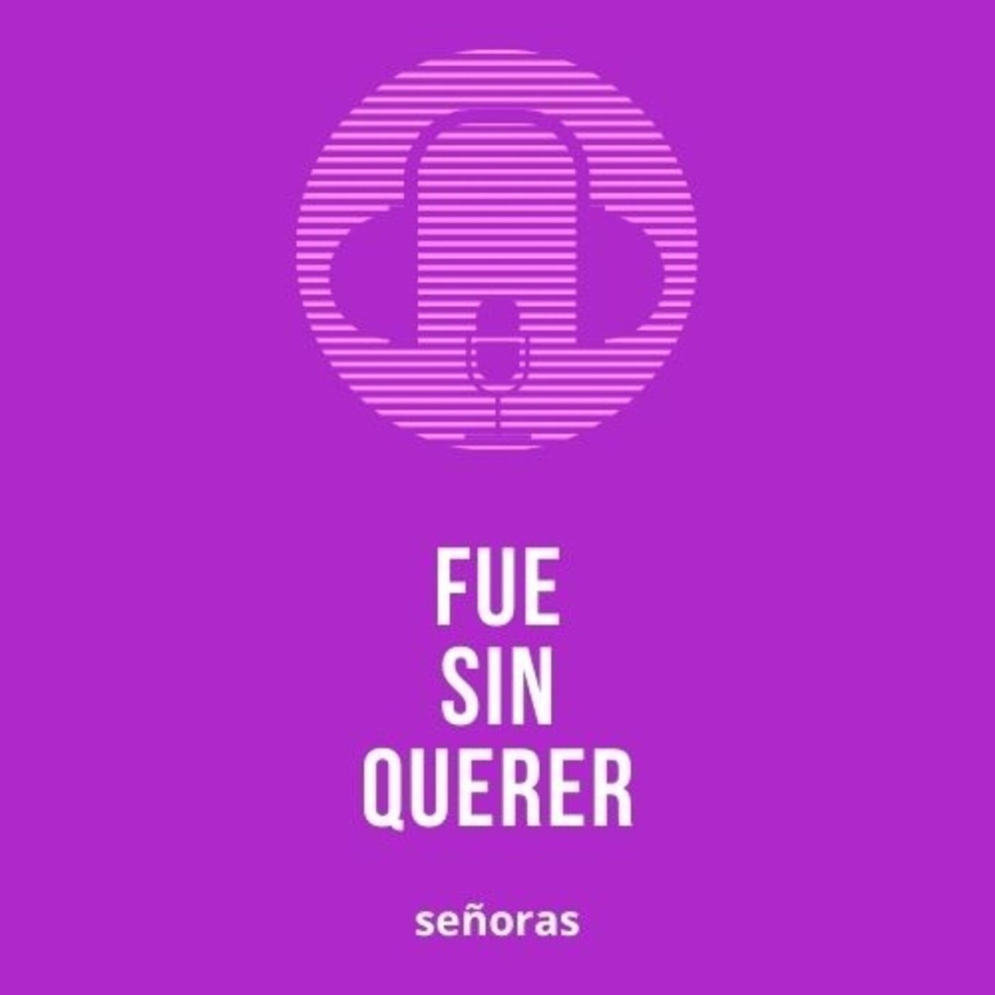 Fue Sin Querer