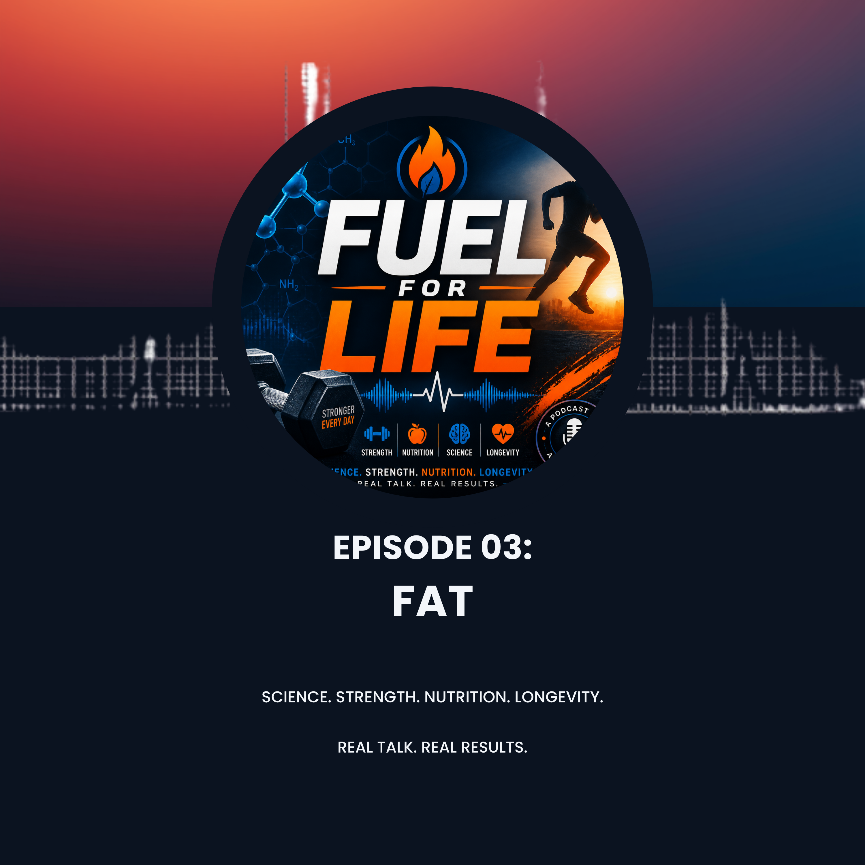 FAT episode artwork