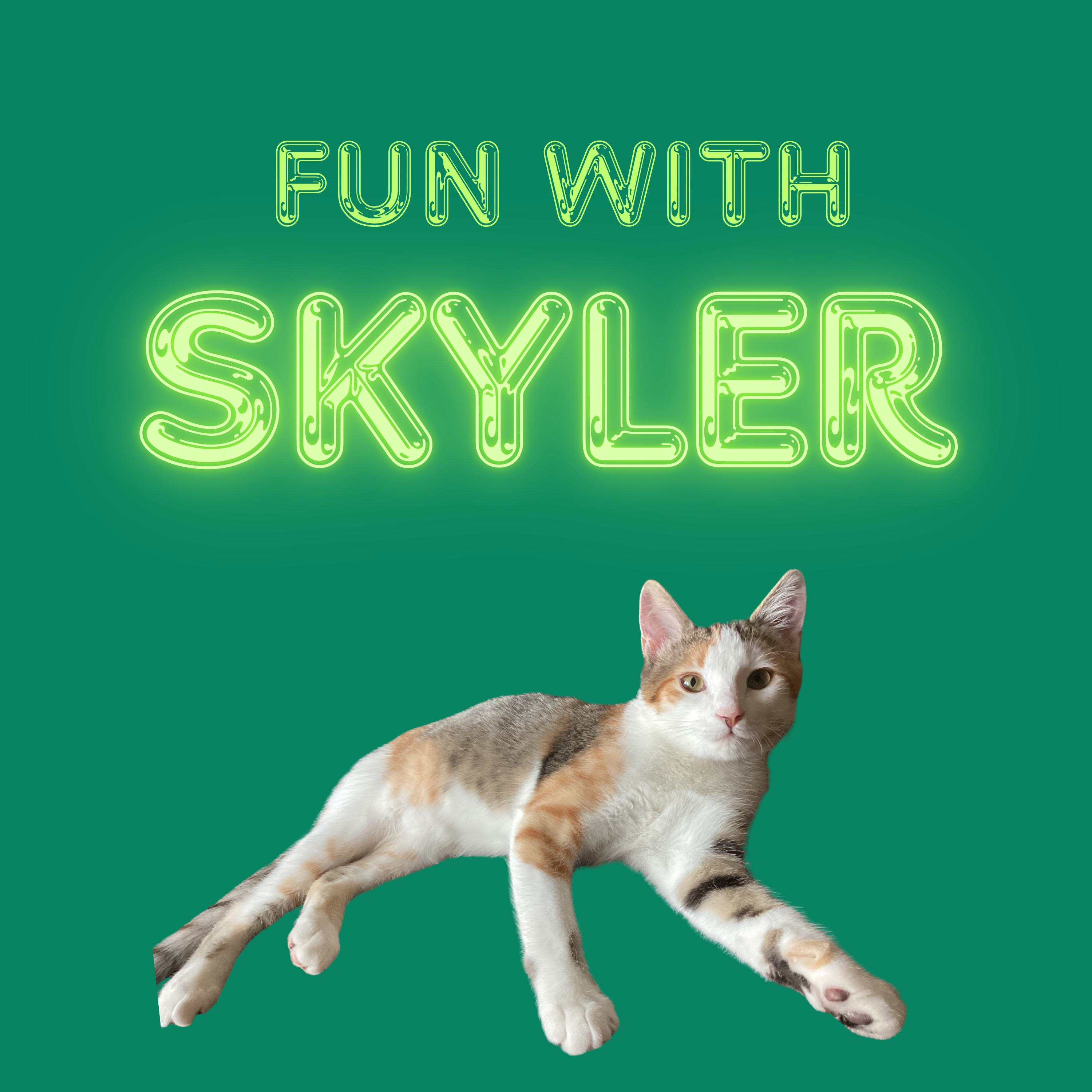 Fun with Skyler