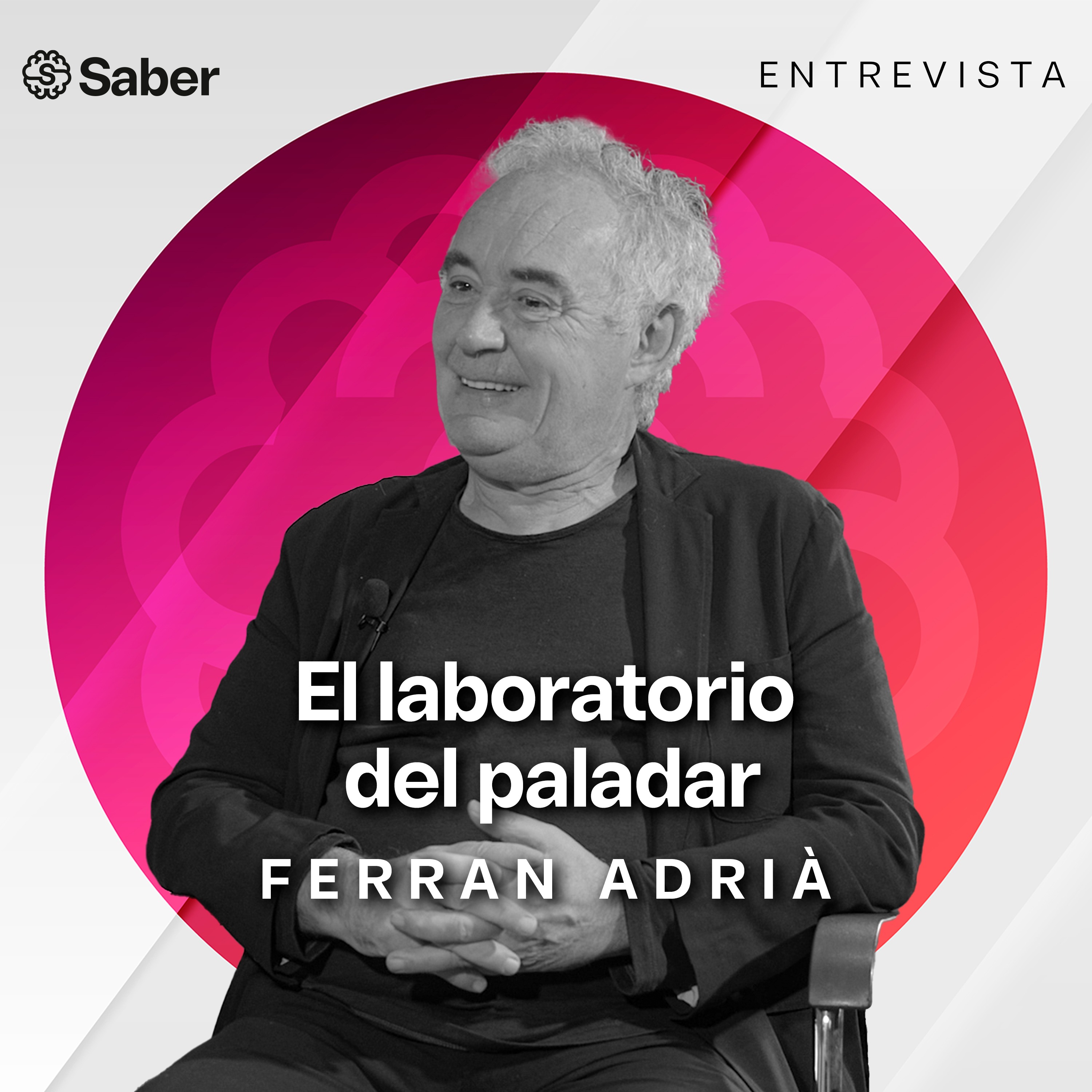 Canal Saber | Curiosidad como forma de Vida