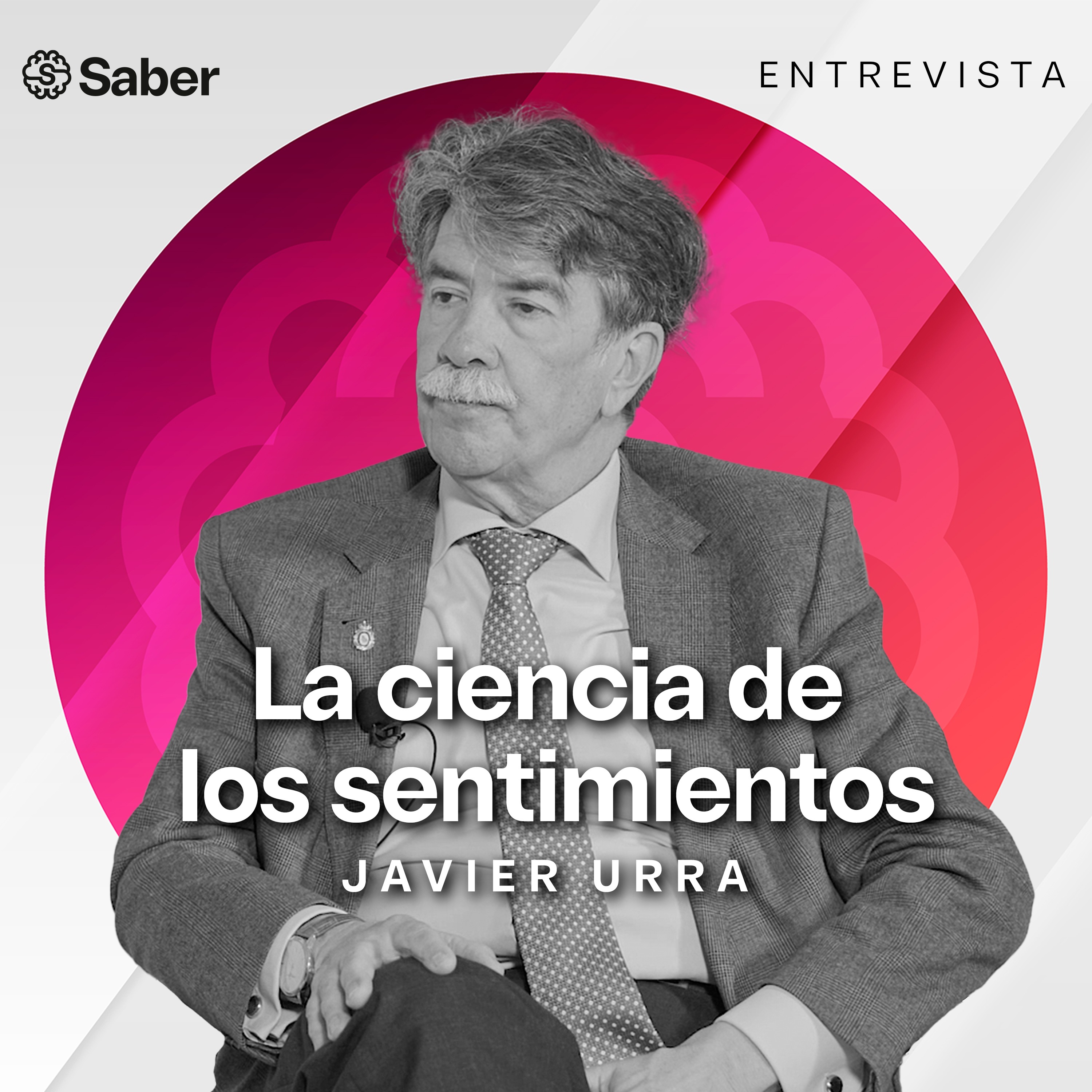 Canal Saber | Curiosidad como forma de Vida