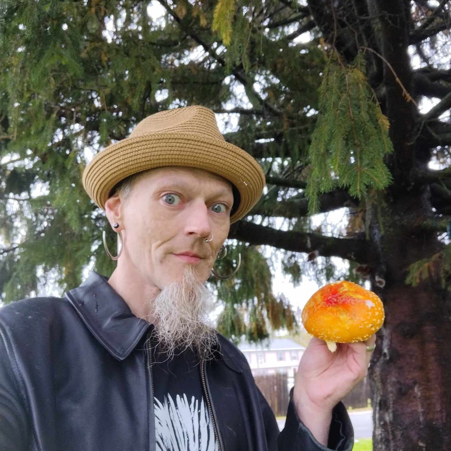 Let's Grow with David Gray of Apotheosis Fungi and Mycology Network episode artwork