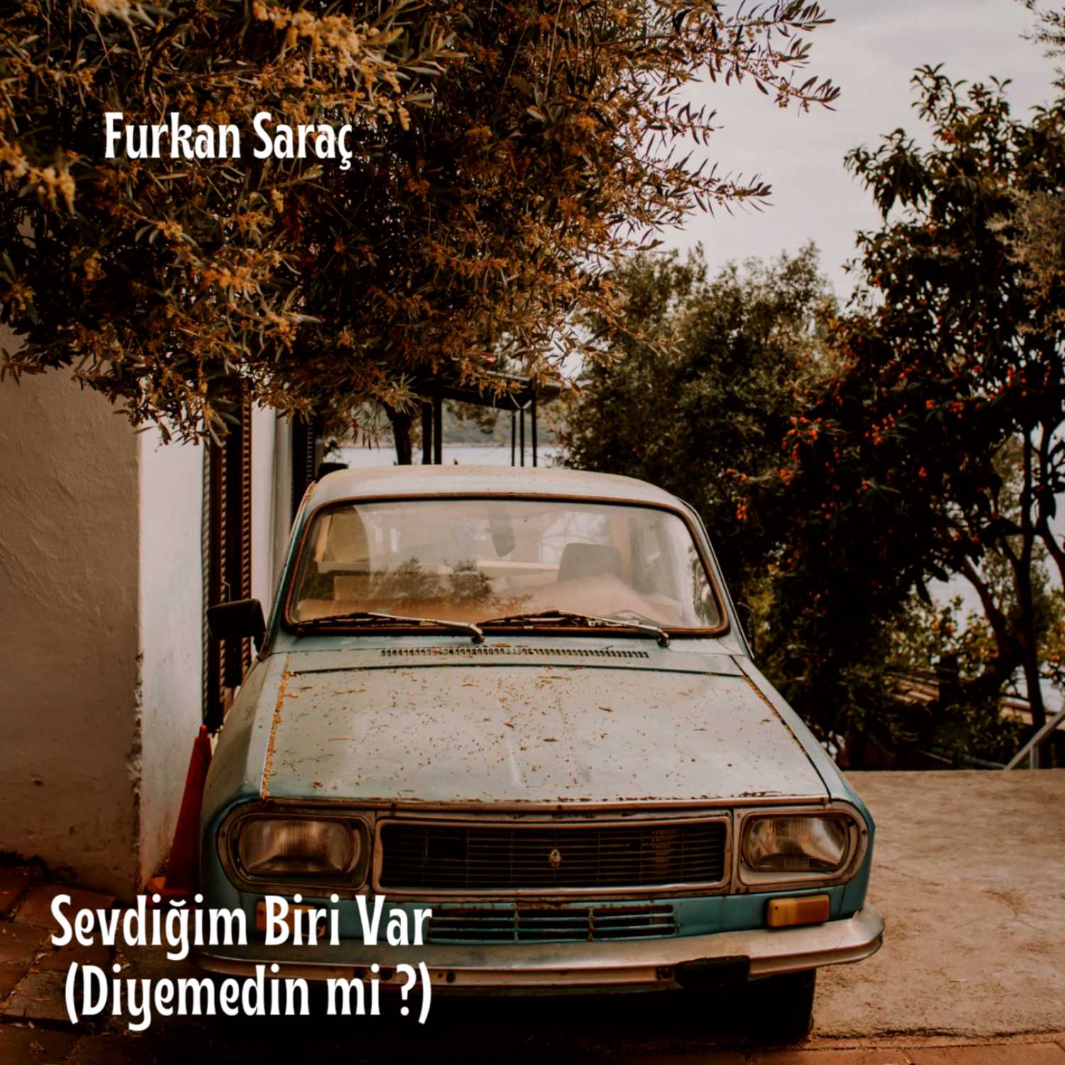 Sevdiğim Biri Var (Diyemedin mi?)