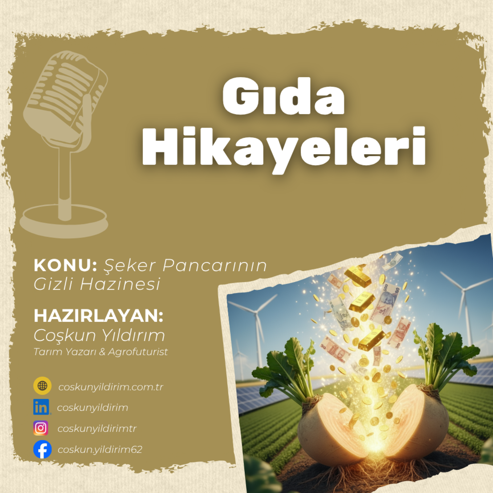 Şeker Pancarının Gizli Hazinesi episode artwork