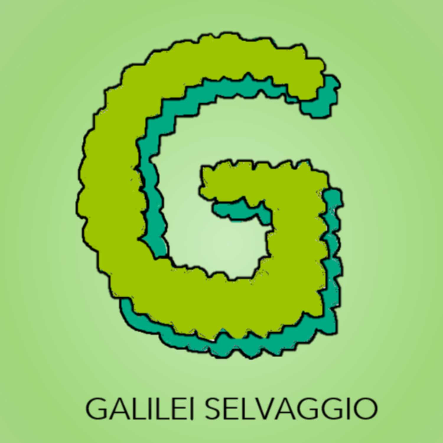GALILEI SELVAGGIO
