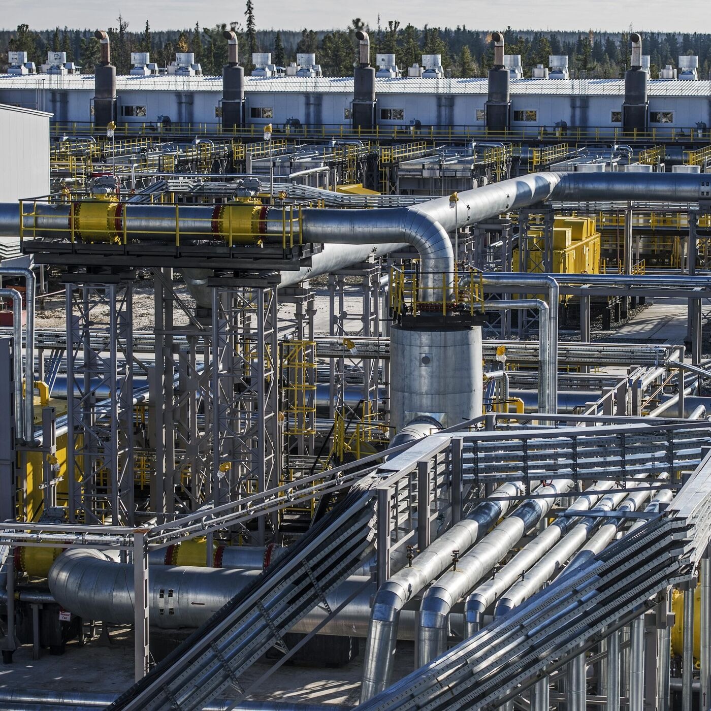 Gas Profit