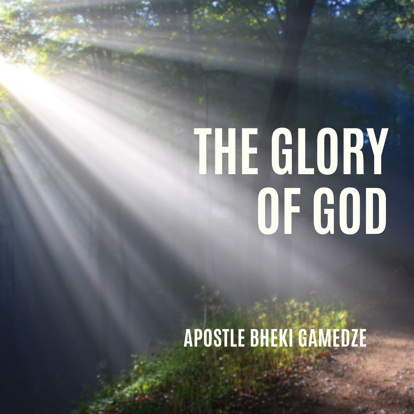 The Glory of God | Apostle Bheki Gamedze