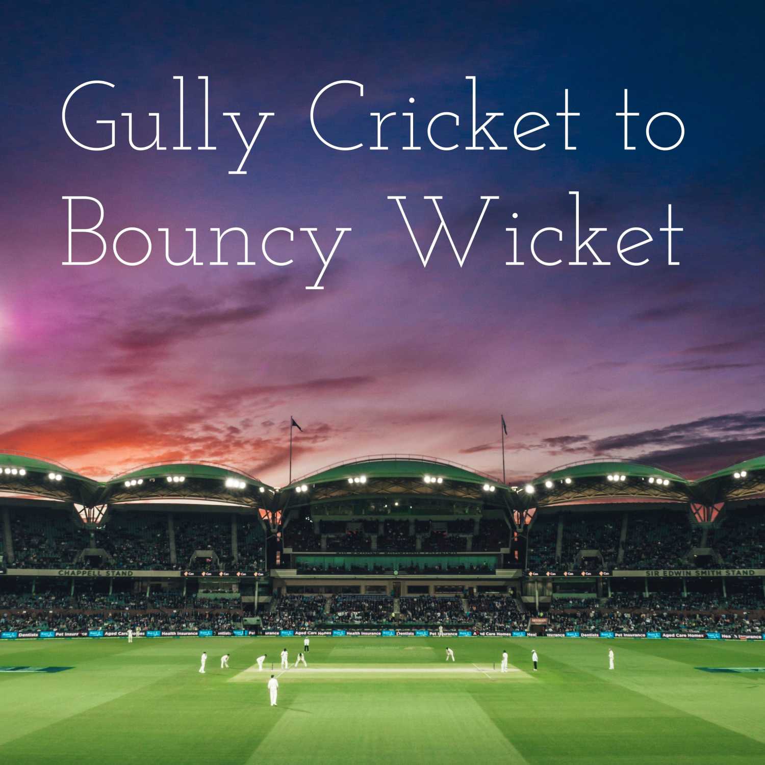 Gully Cricket to Bouncy Wicket