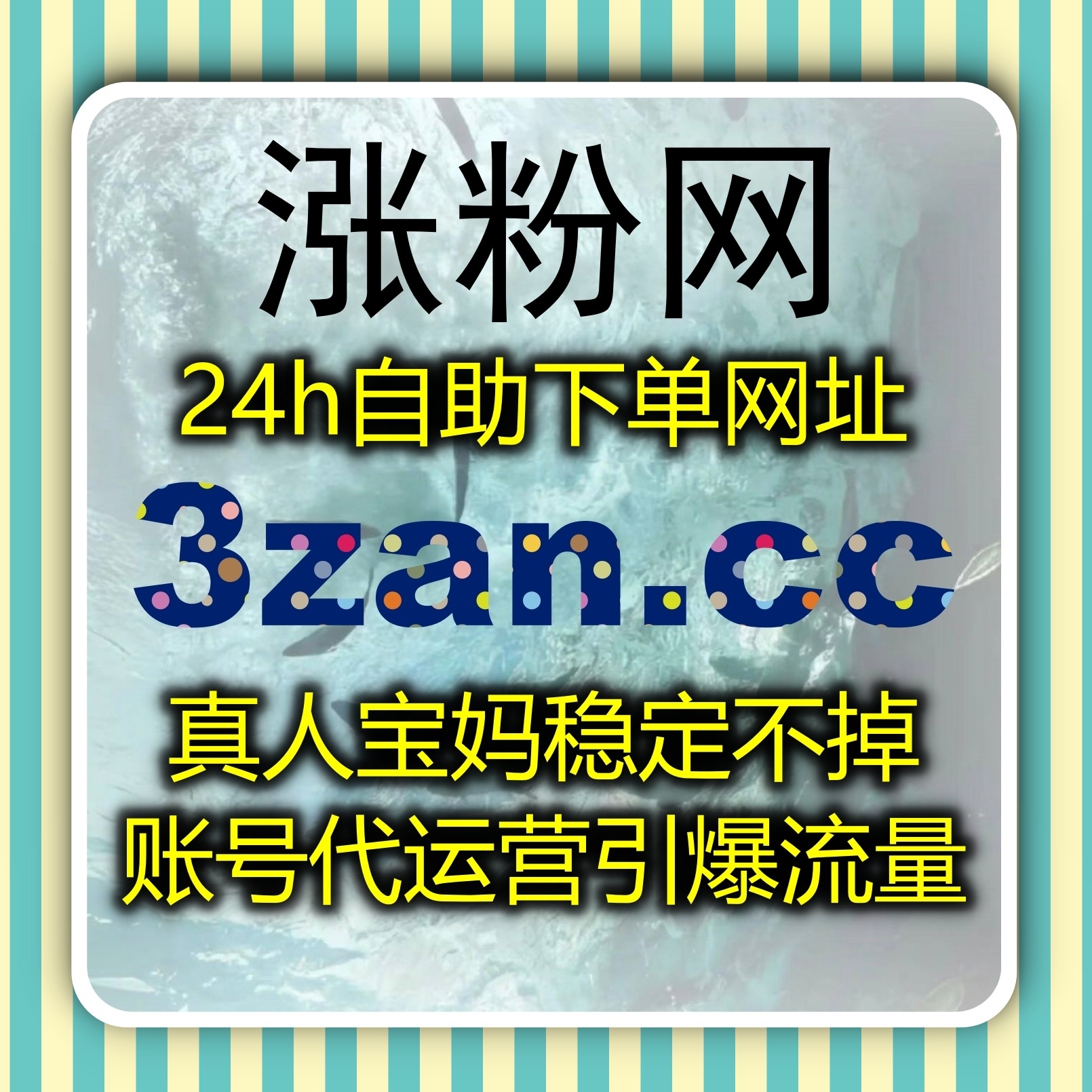 规划跨境账号全球发展路径，在线全自动下单拓展 TikTok全域运营 episode artwork