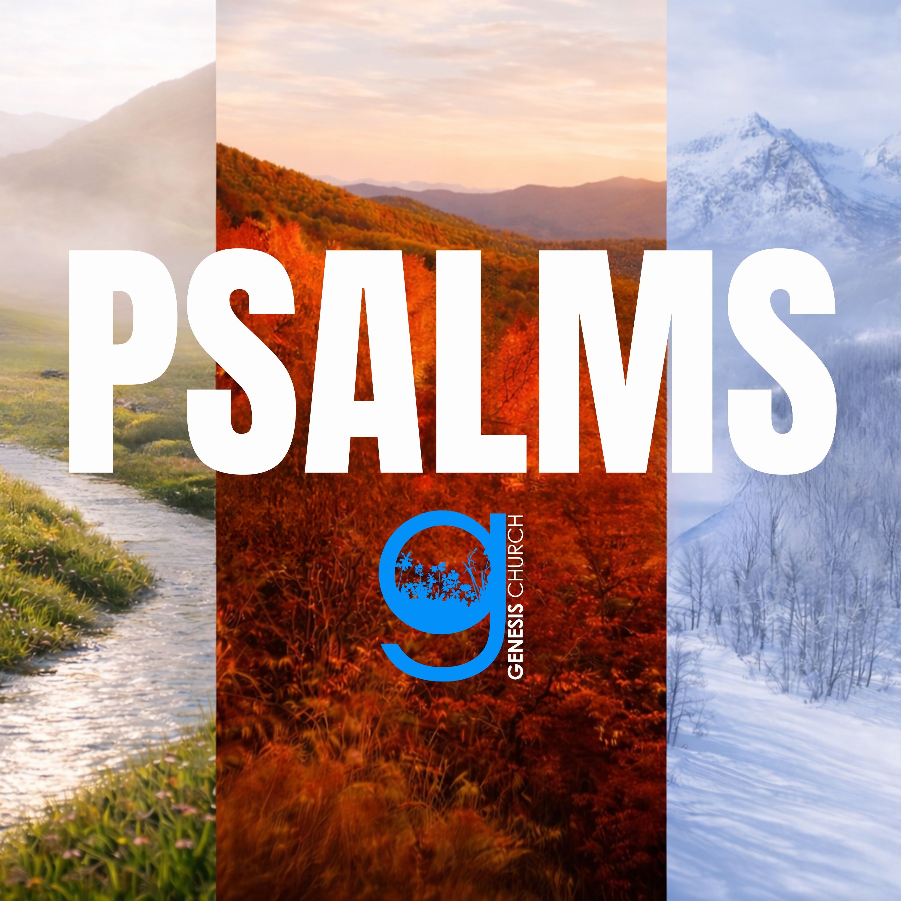 Psalm 73 | When Life seems so Unfair episode artwork