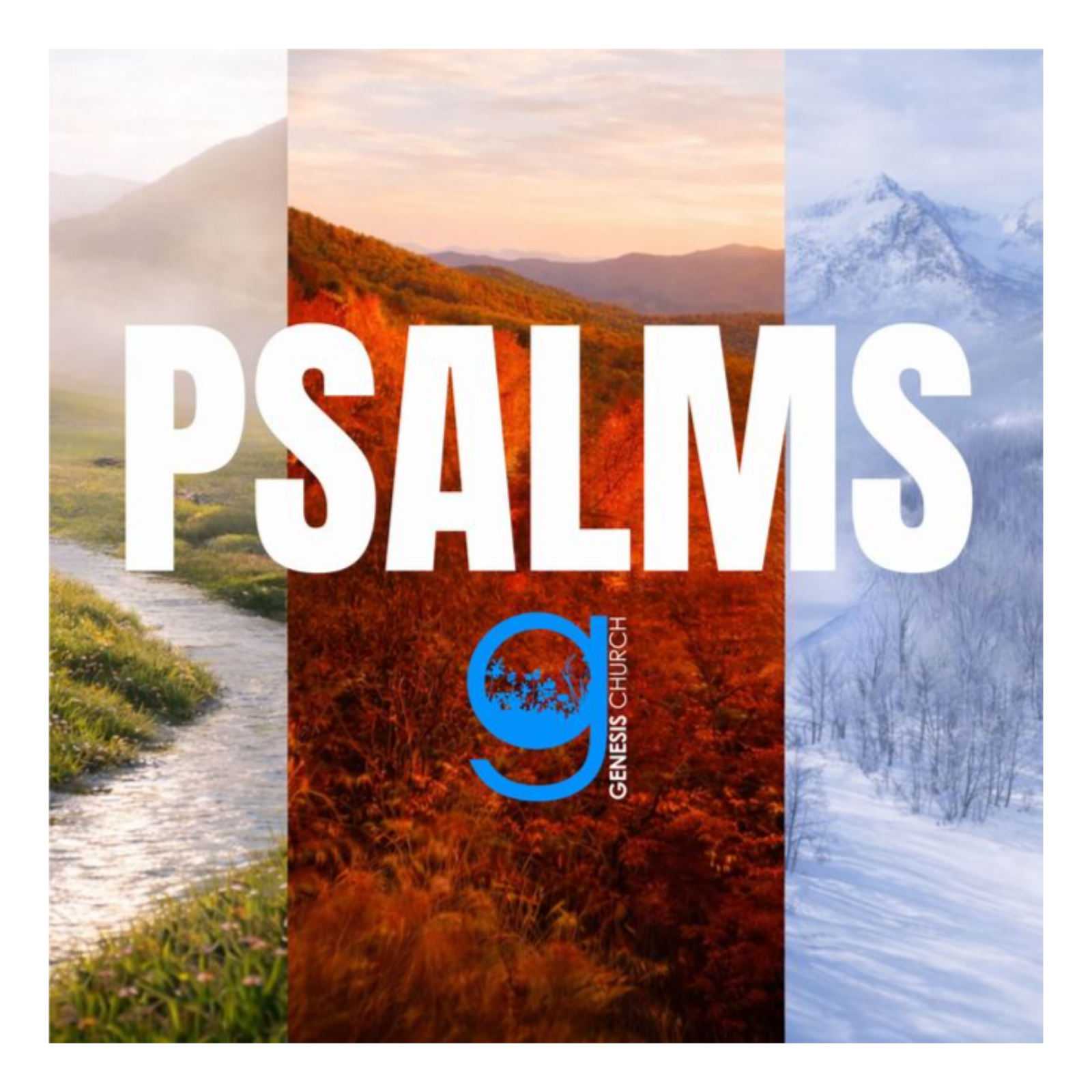 Psalm 121 | Strapped In— Staying Close to the One Who Keeps You episode artwork