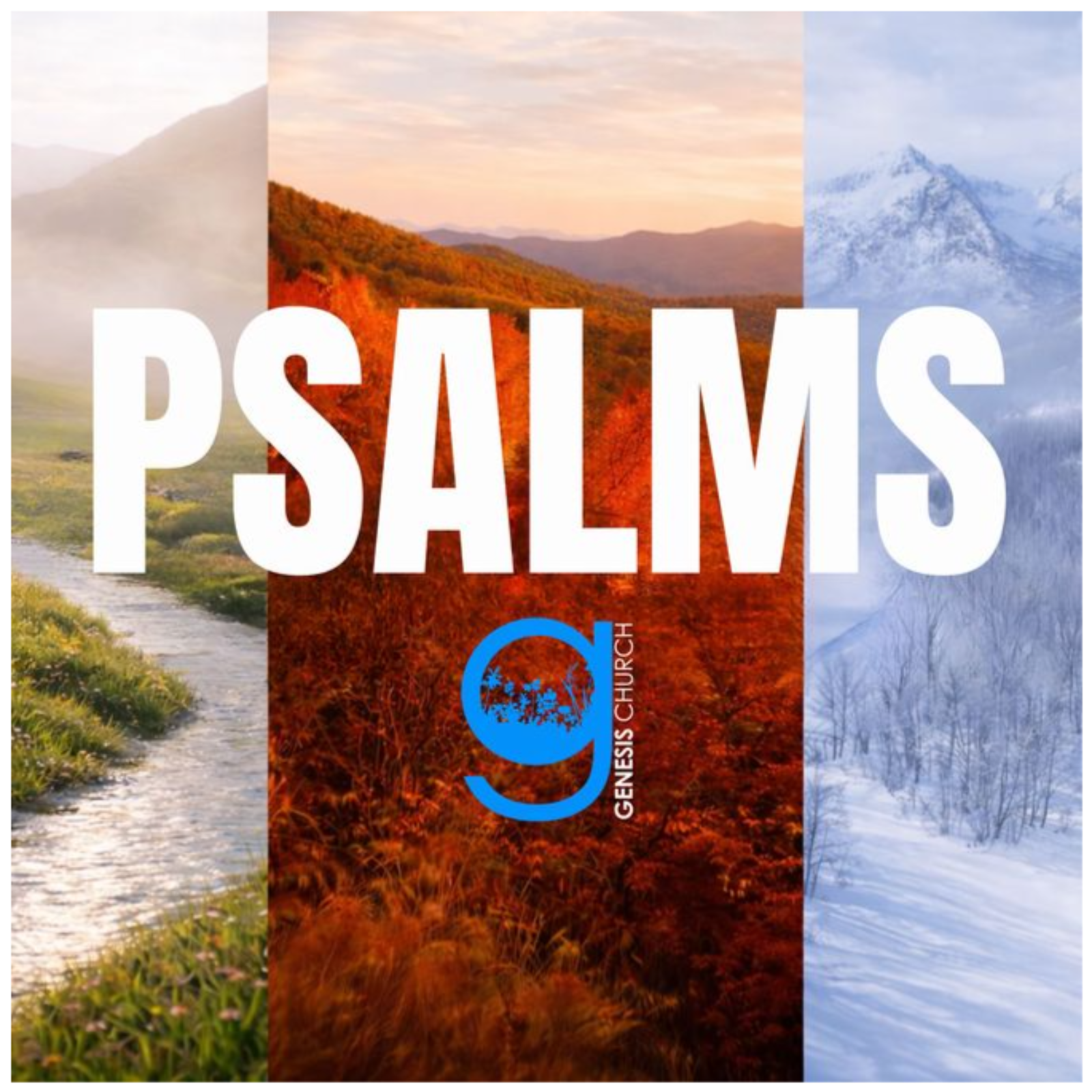 Psalm 112 | A Father that leaves a Spiritual Legacy episode artwork