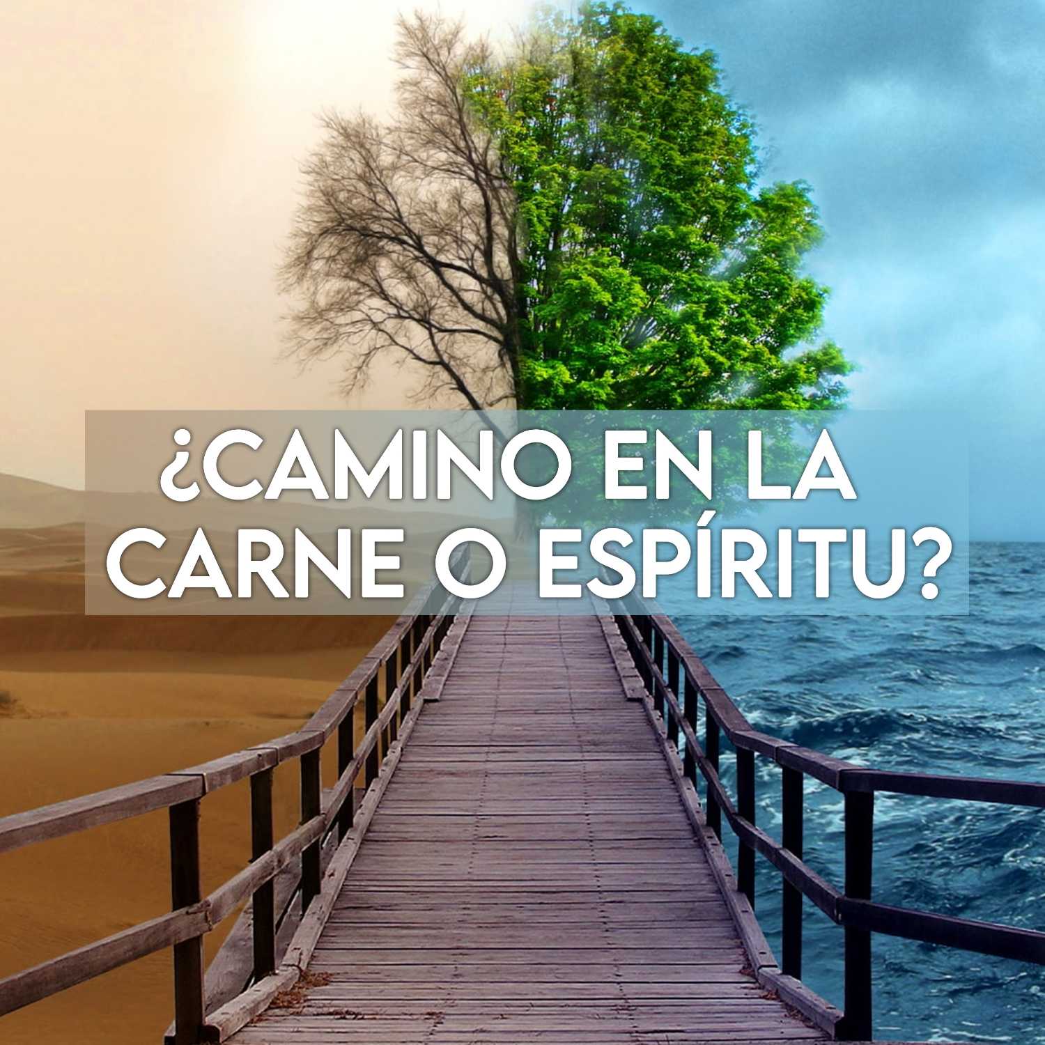 Gente con Proposito