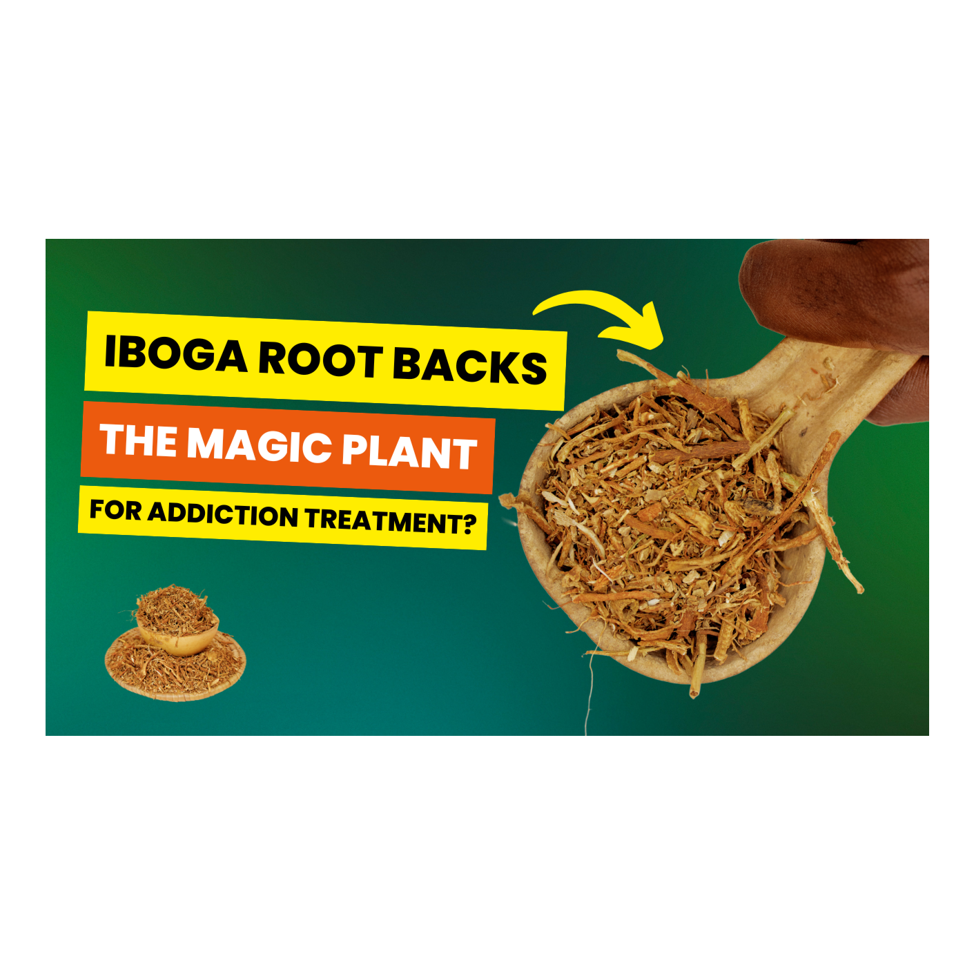 Iboga Root Bark episode artwork