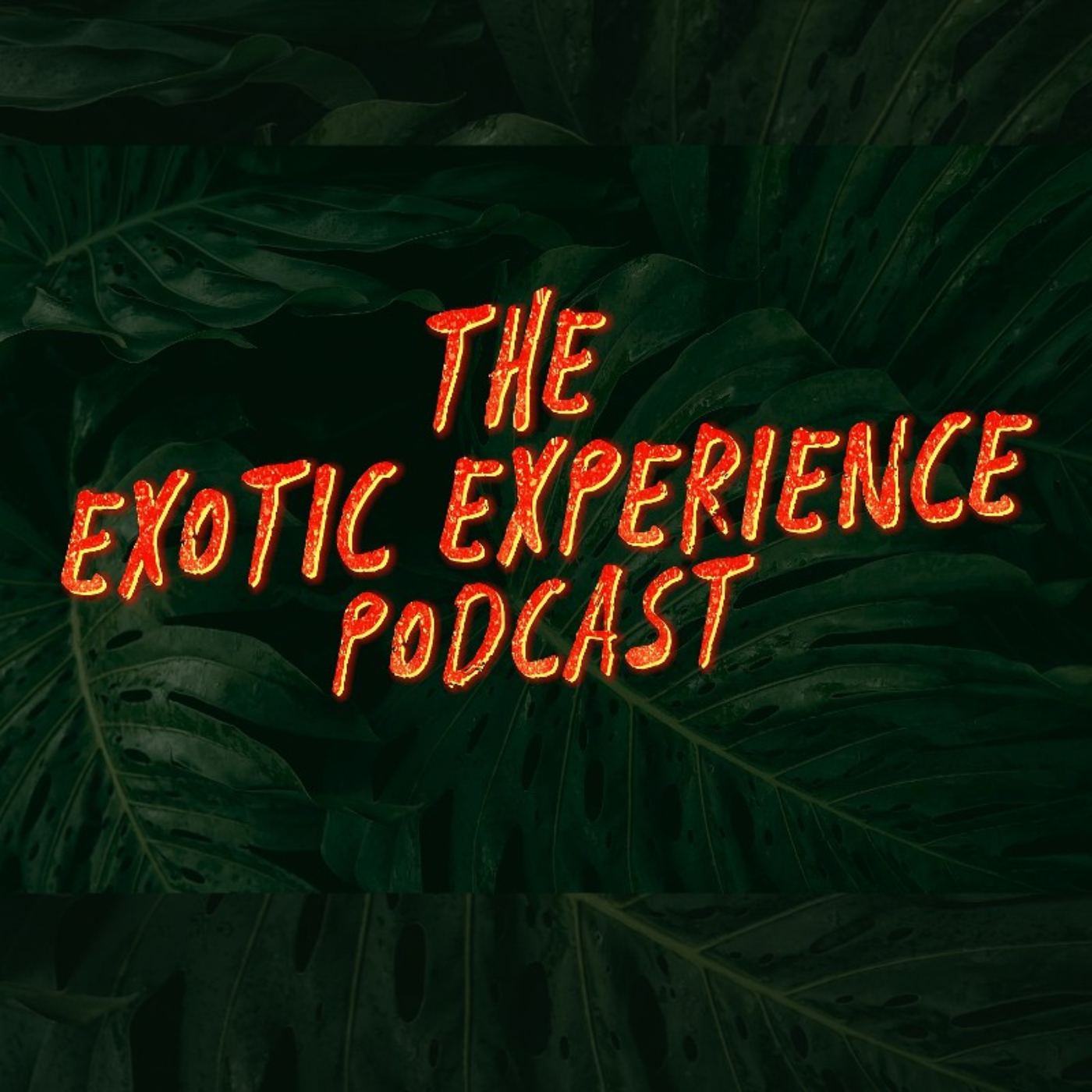 The Exotic Experience