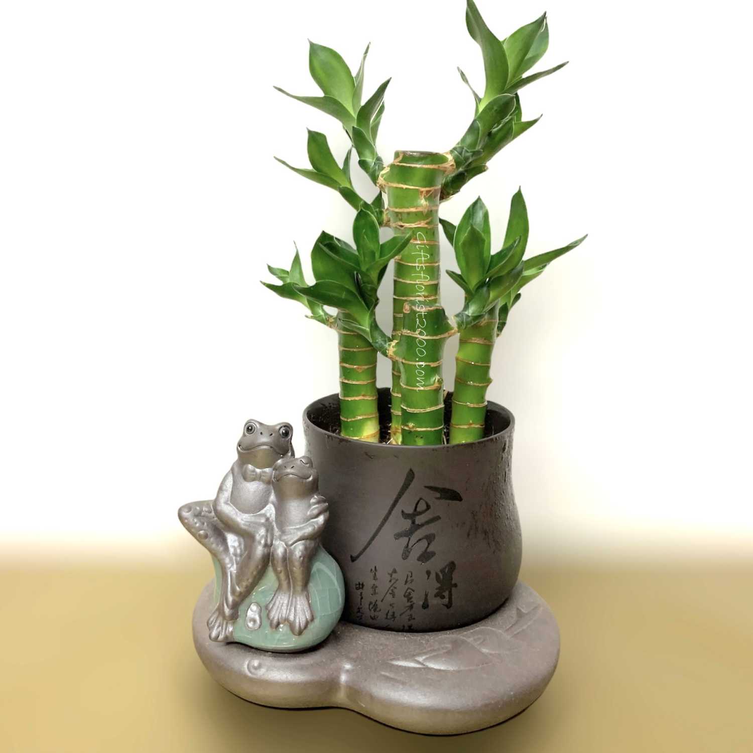 Calm And Peace-Lucky Bamboo Arrangement