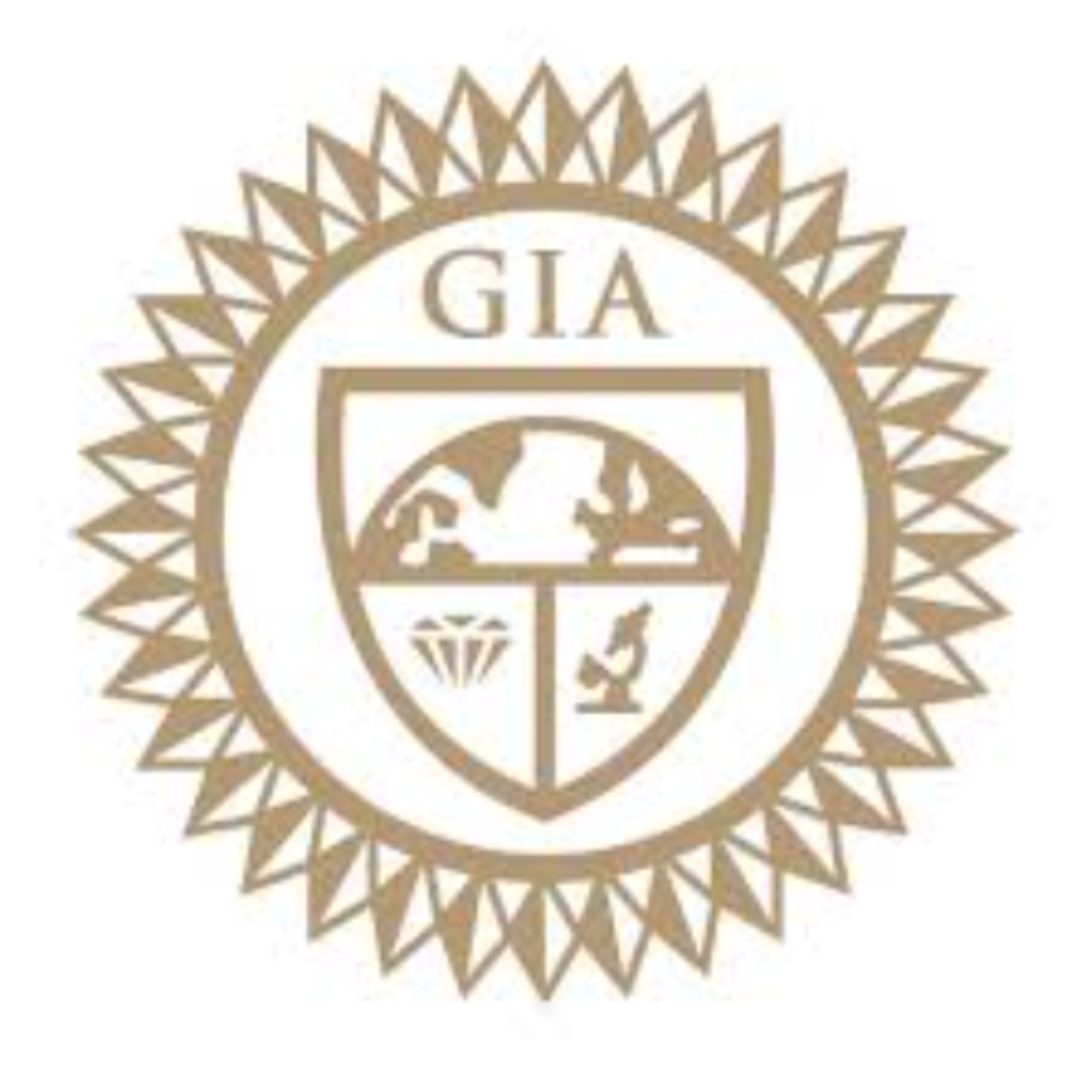 GILT TRIPS