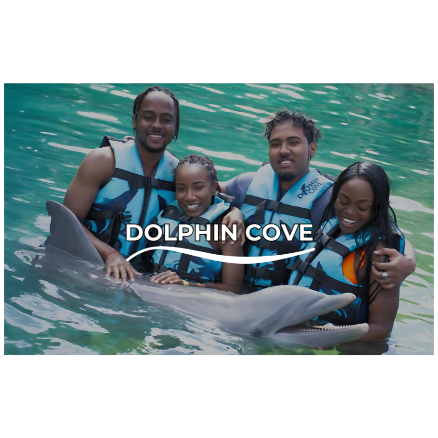 Dolphin Cove Jamaica Review - Gist Jamaica Podcast episode artwork