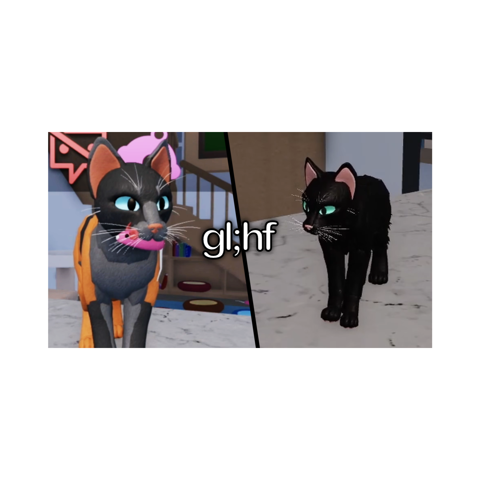 meow meow kitty kitty episode artwork