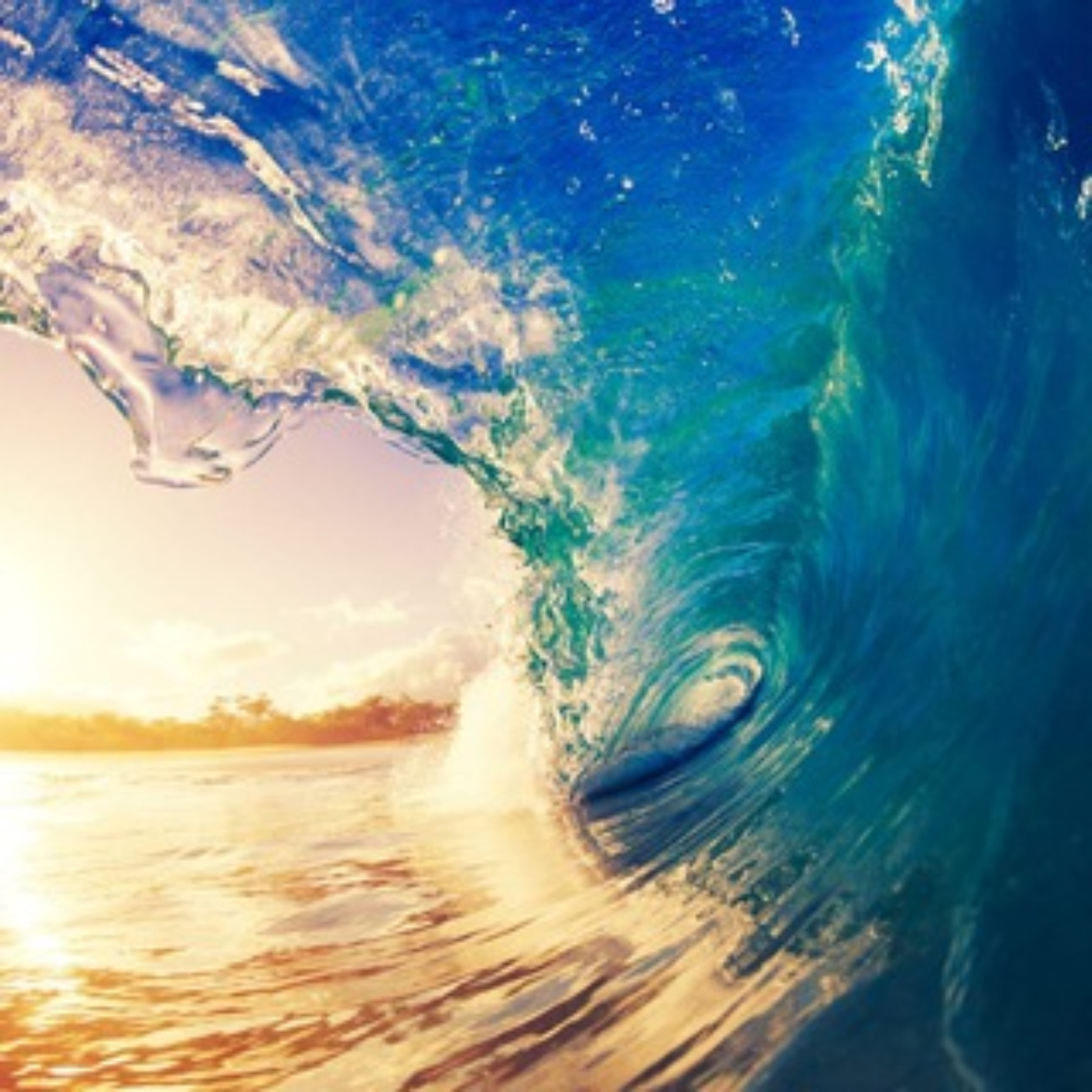 Wholesale, Import, Export Trends, Leads. 