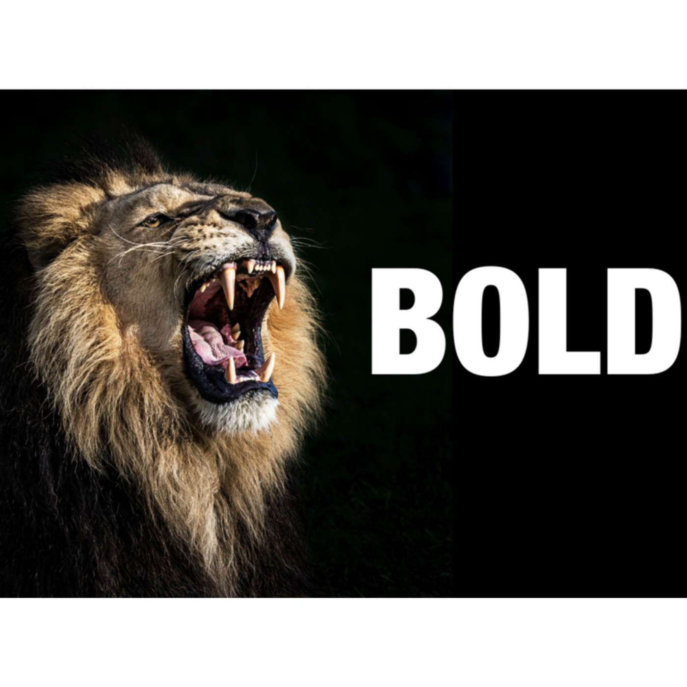 Bold Big Sunday episode artwork