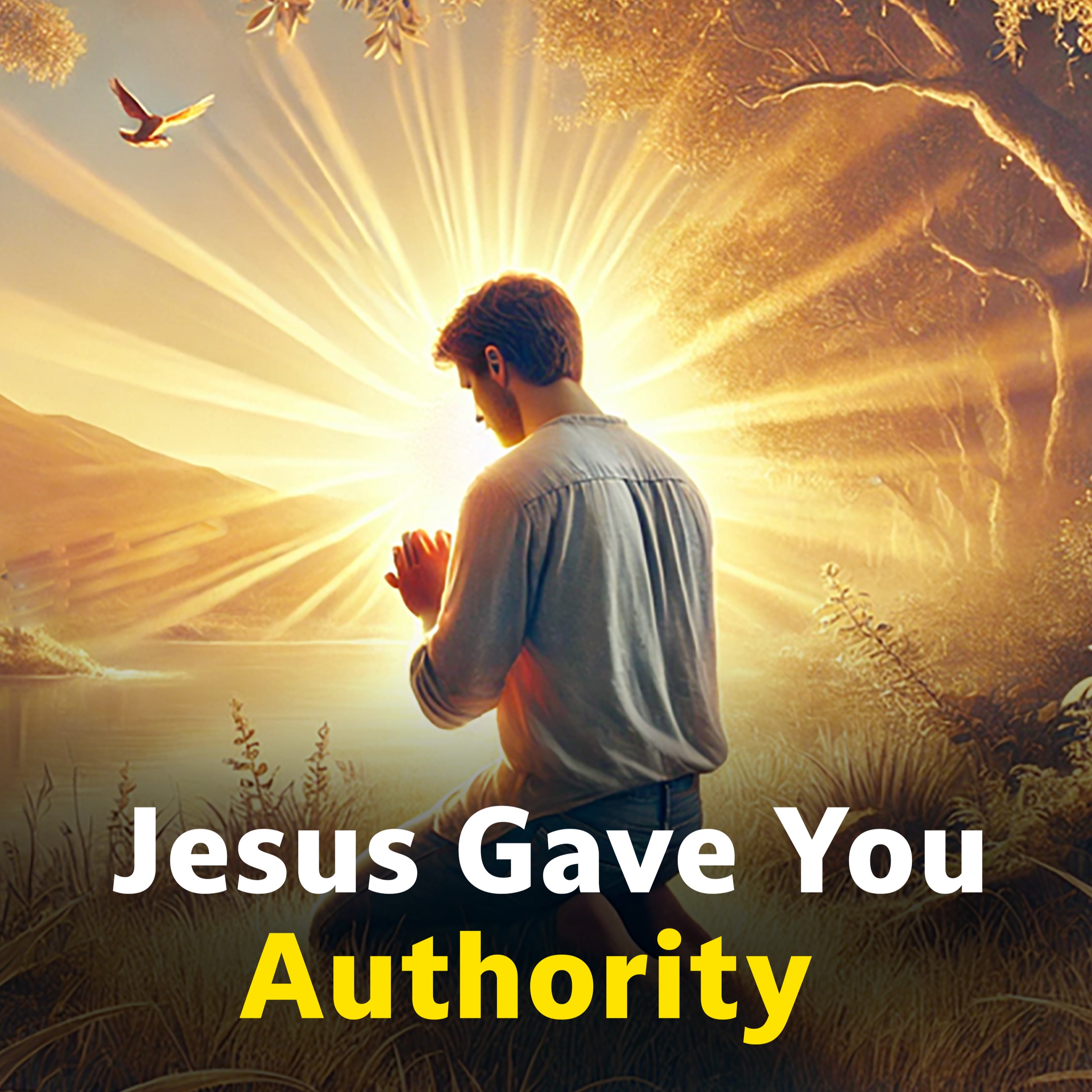 God Has Given You Authority: You Need To Know The Strength You Have In Jesus episode artwork