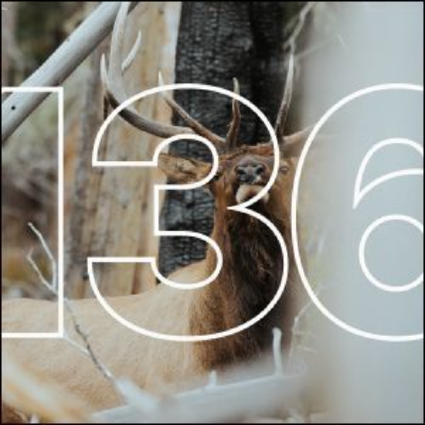 Episode Logo