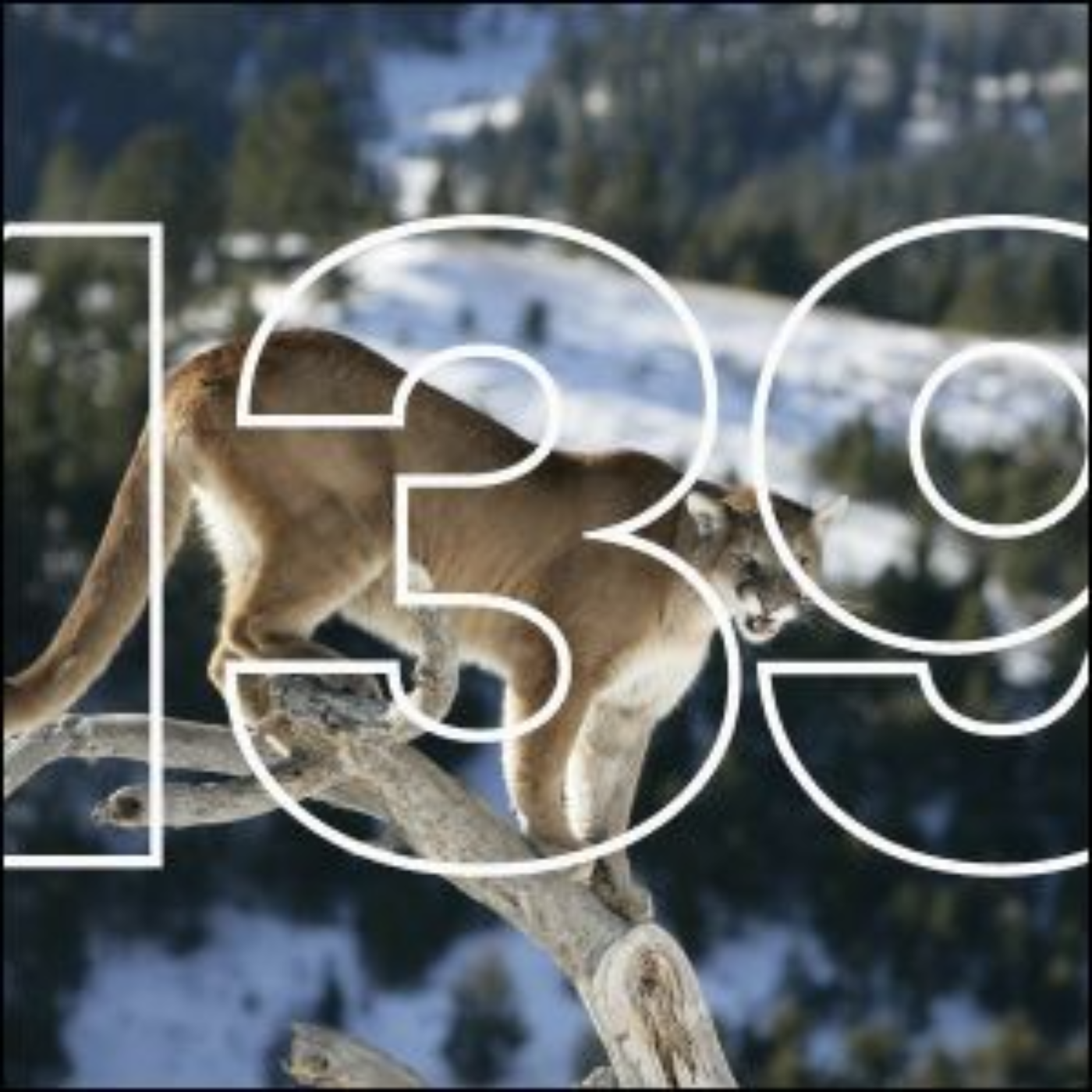 Vote No on Colorado Prop 127 | Big Hunt Guys, Ep. 139