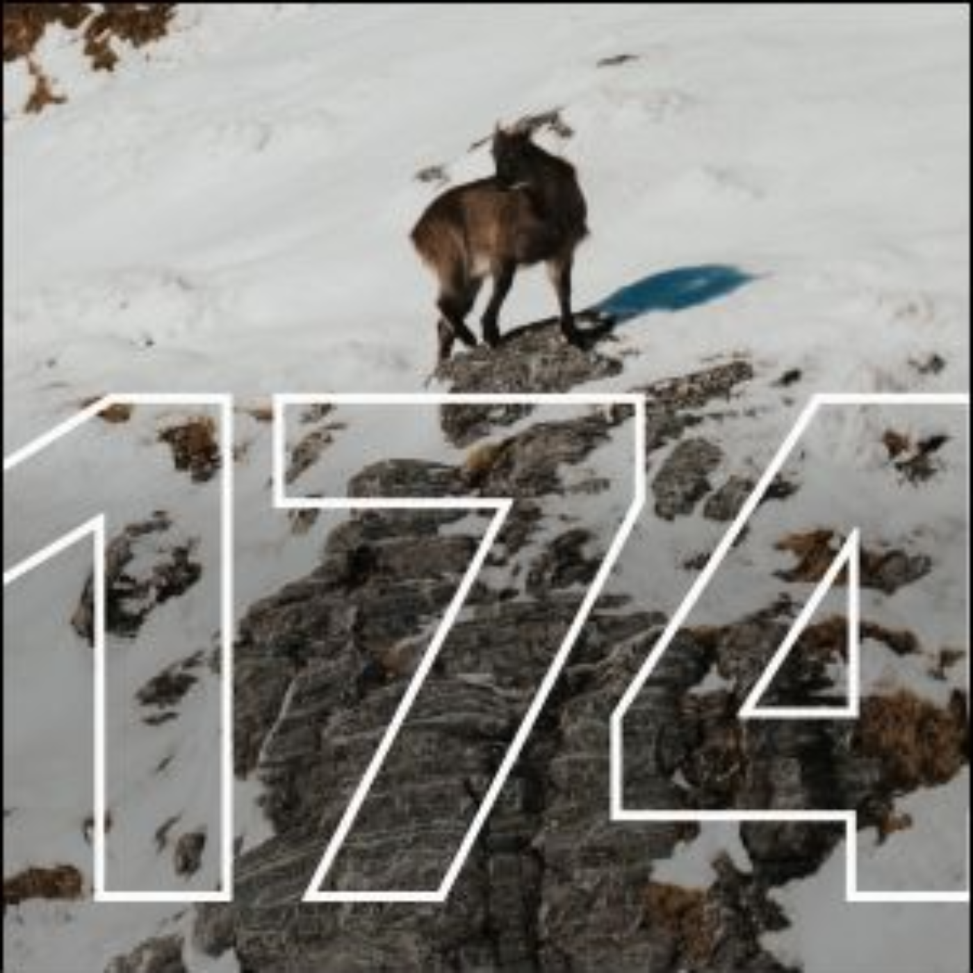 New Zealand Tahr: The Ultimate Mountain Hunt | Big Hunt Guys, Ep. 174