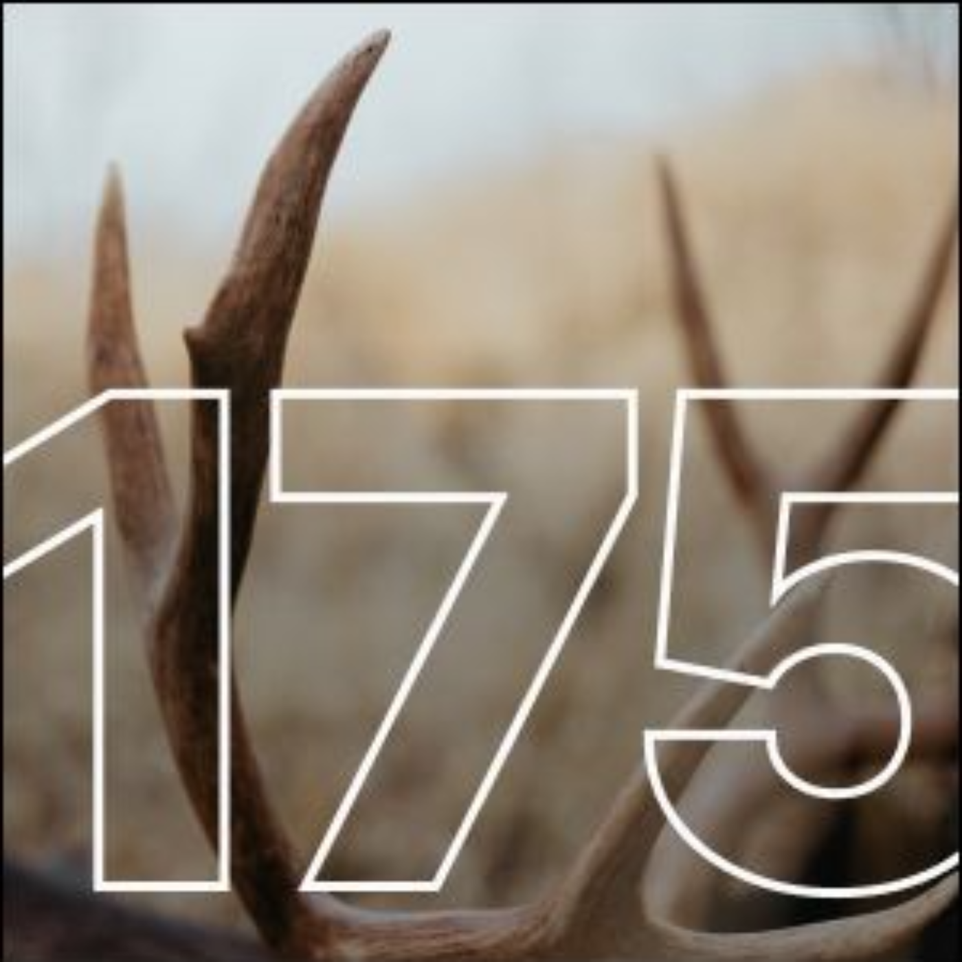 Wyoming Speed Goats, Muleys, and Random Hunt Rabbit Holes | Big Hunt Guys, Ep. 175