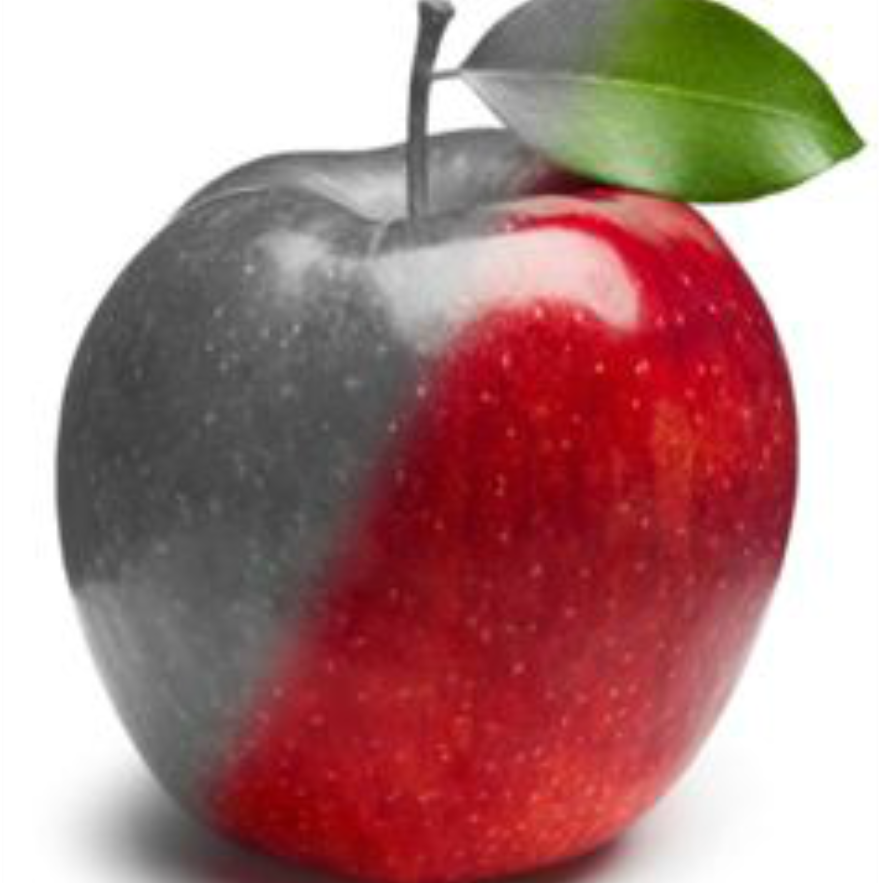 The Giver by Lois Lowry