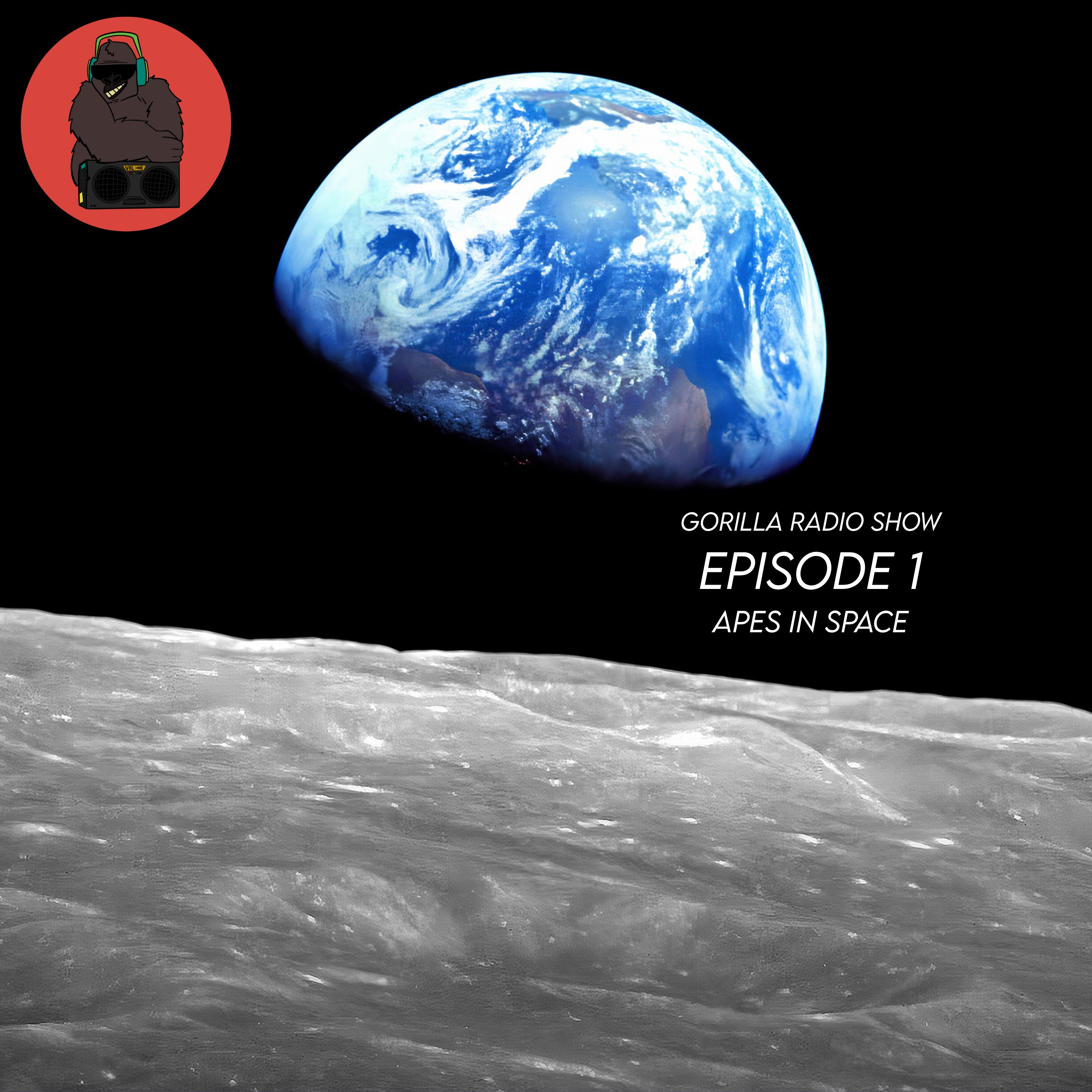 Episode 1 - Apes in Space