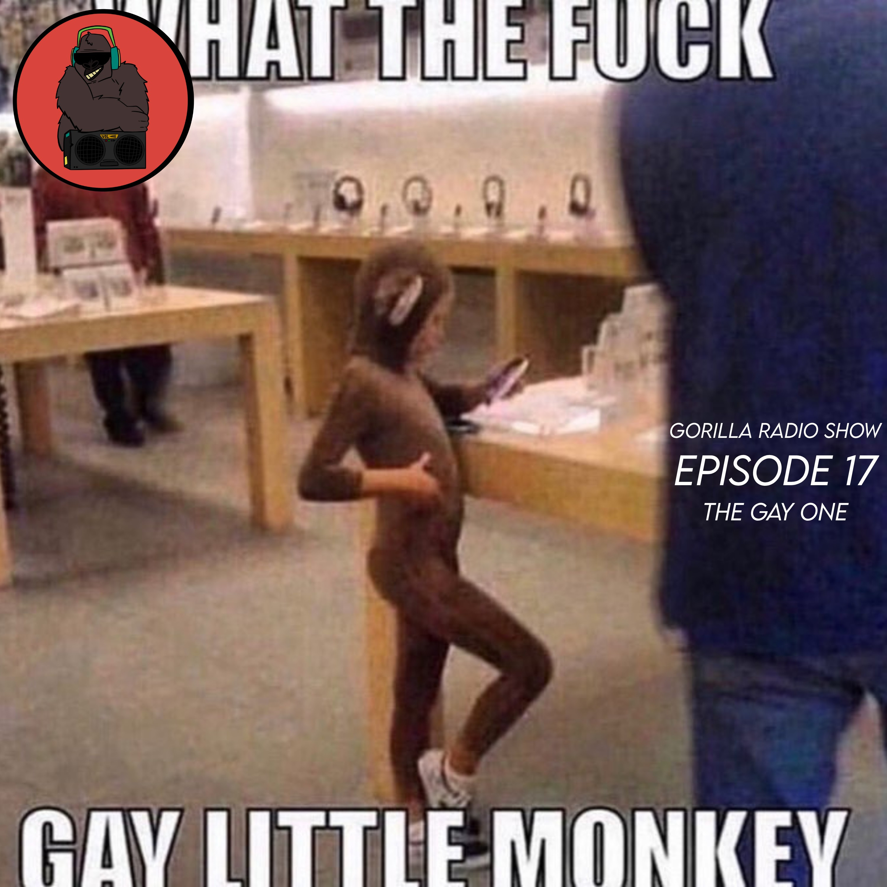 Episode 17 - The Gay One
